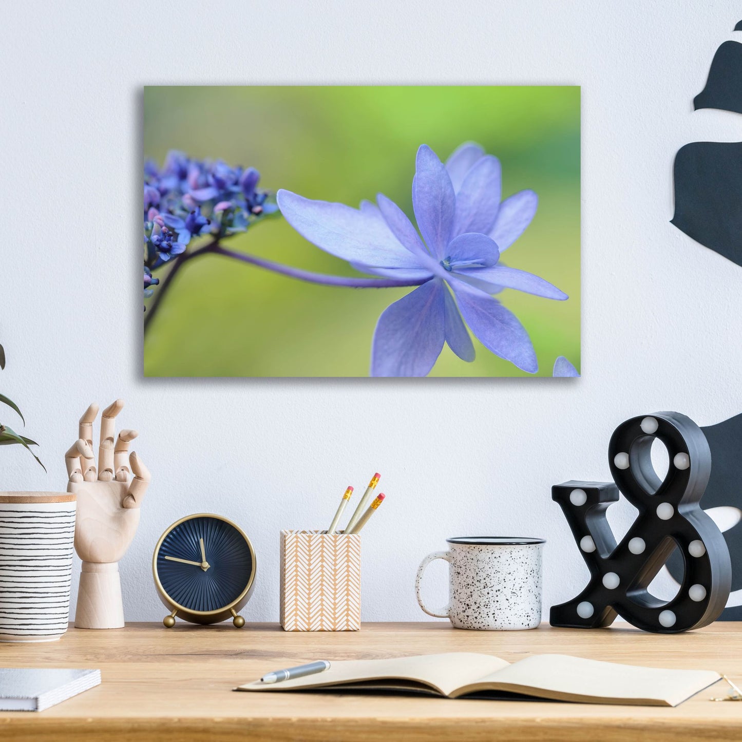 Epic Art 'Blue HCora Nieleydrangea' by Cora Niele, Acrylic Glass Wall Art,16x12