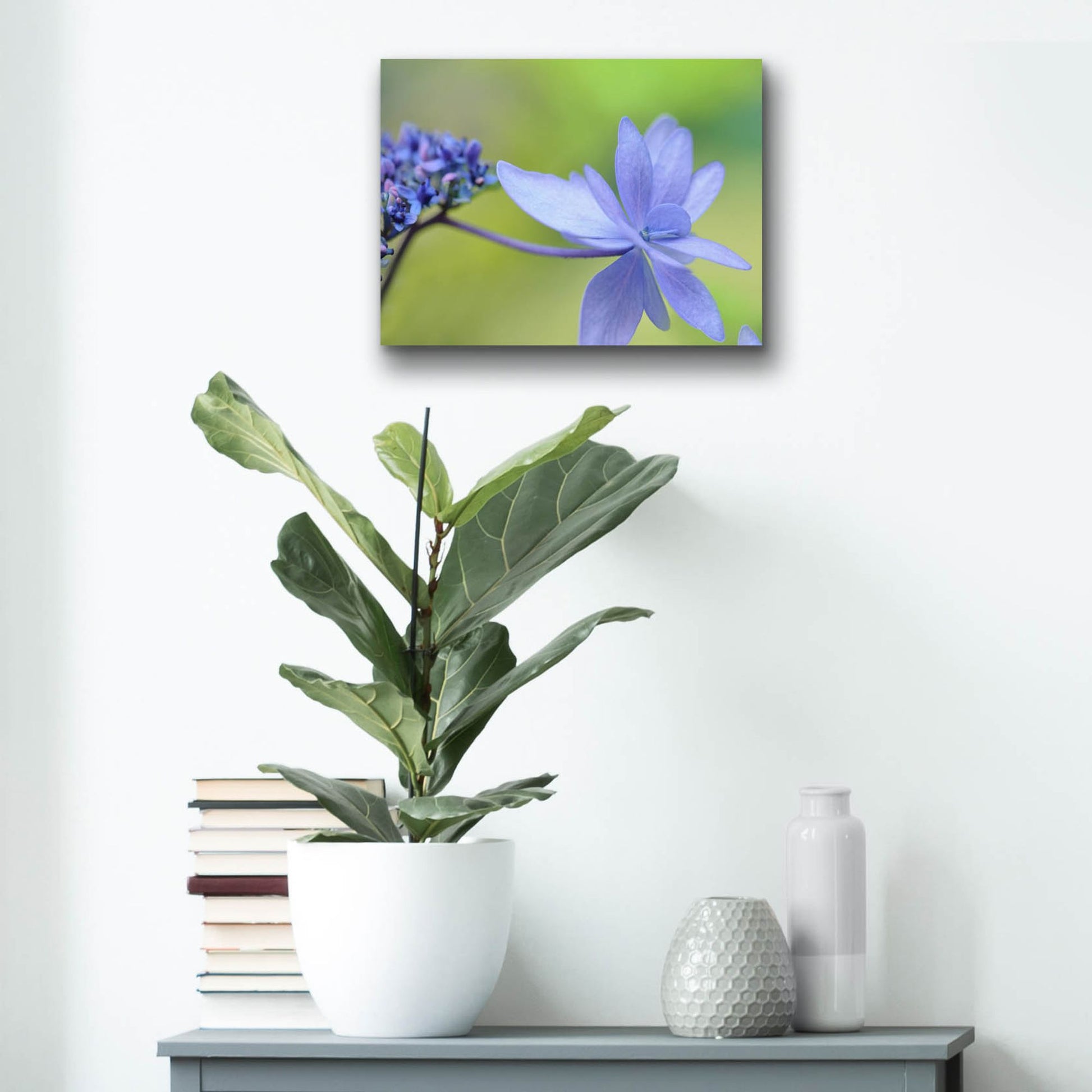 Epic Art 'Blue HCora Nieleydrangea' by Cora Niele, Acrylic Glass Wall Art,16x12