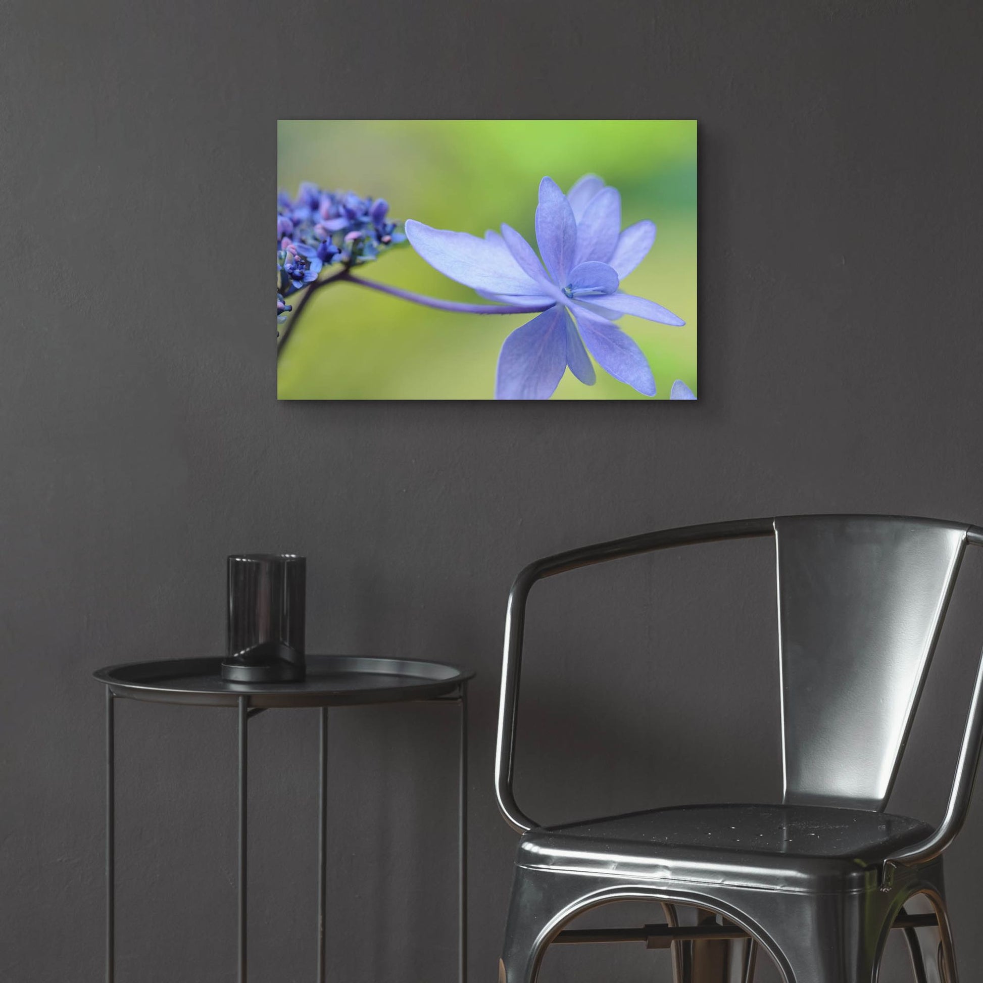 Epic Art 'Blue HCora Nieleydrangea' by Cora Niele, Acrylic Glass Wall Art,24x16