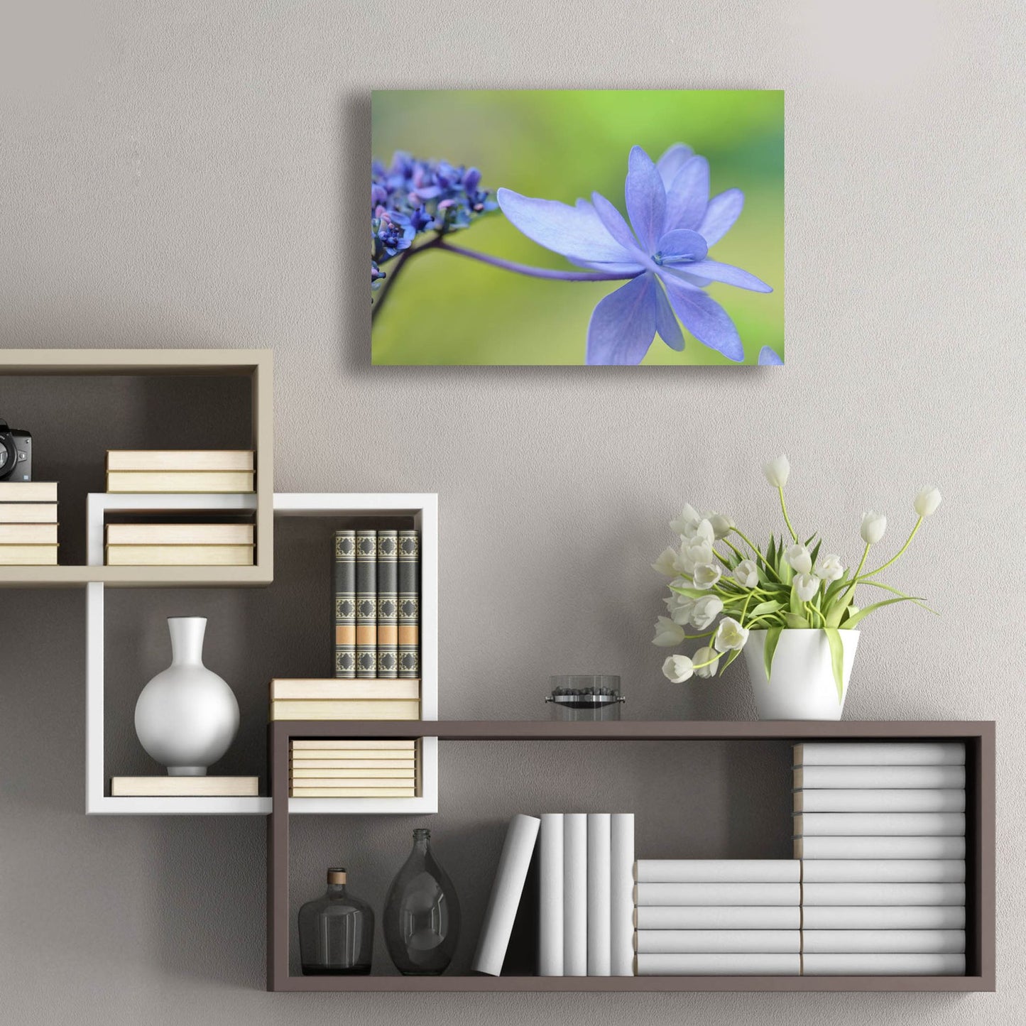 Epic Art 'Blue HCora Nieleydrangea' by Cora Niele, Acrylic Glass Wall Art,24x16