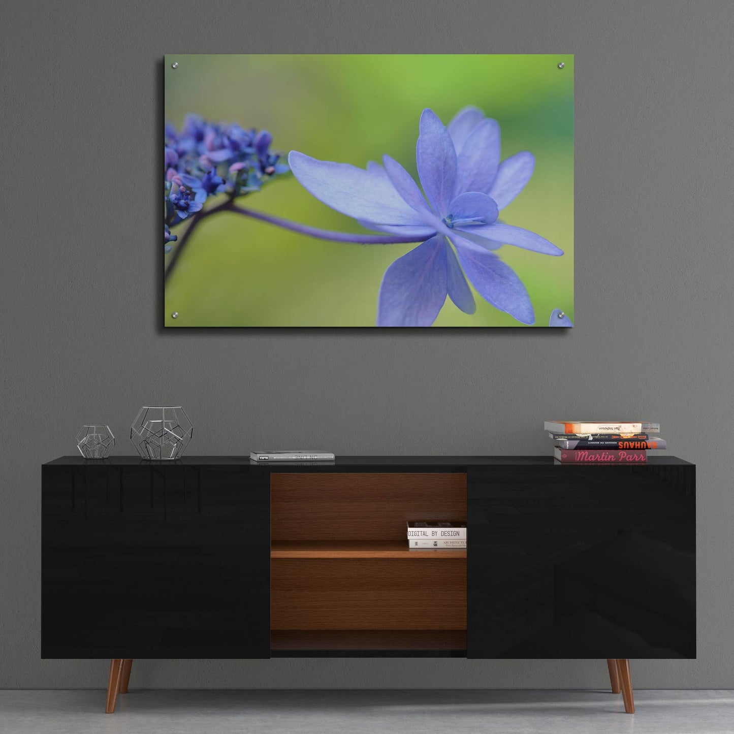 Epic Art 'Blue HCora Nieleydrangea' by Cora Niele, Acrylic Glass Wall Art,36x24