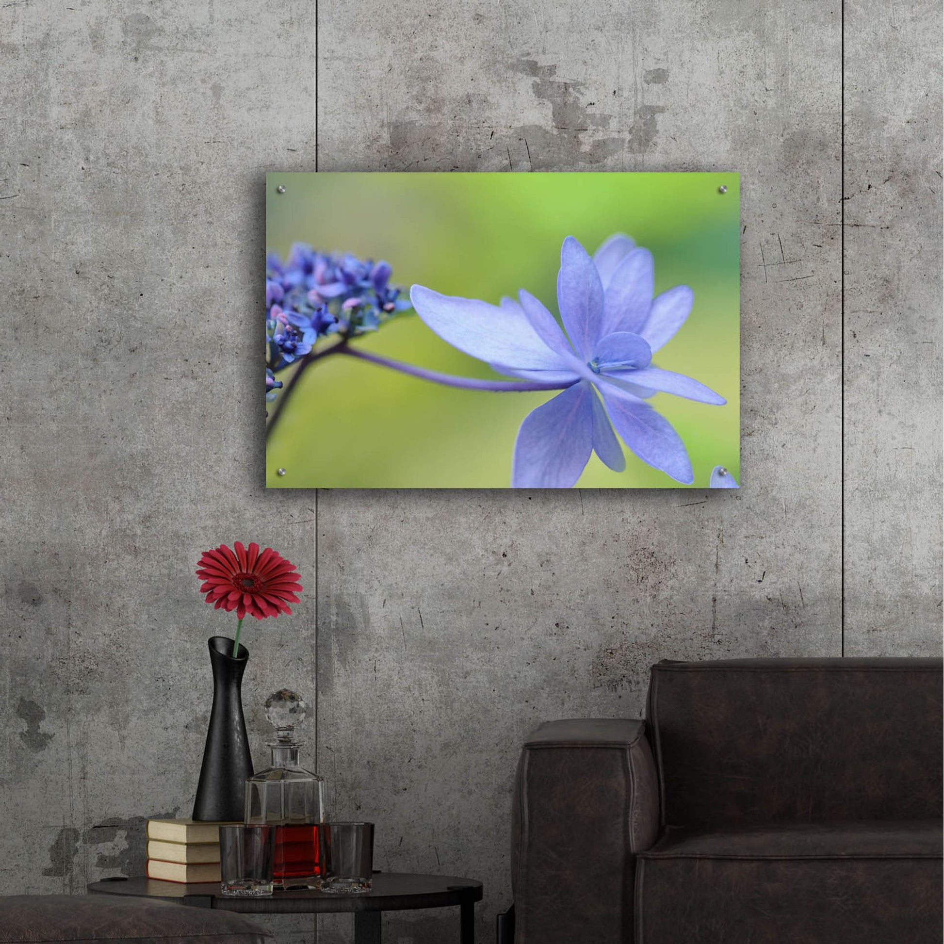 Epic Art 'Blue HCora Nieleydrangea' by Cora Niele, Acrylic Glass Wall Art,36x24