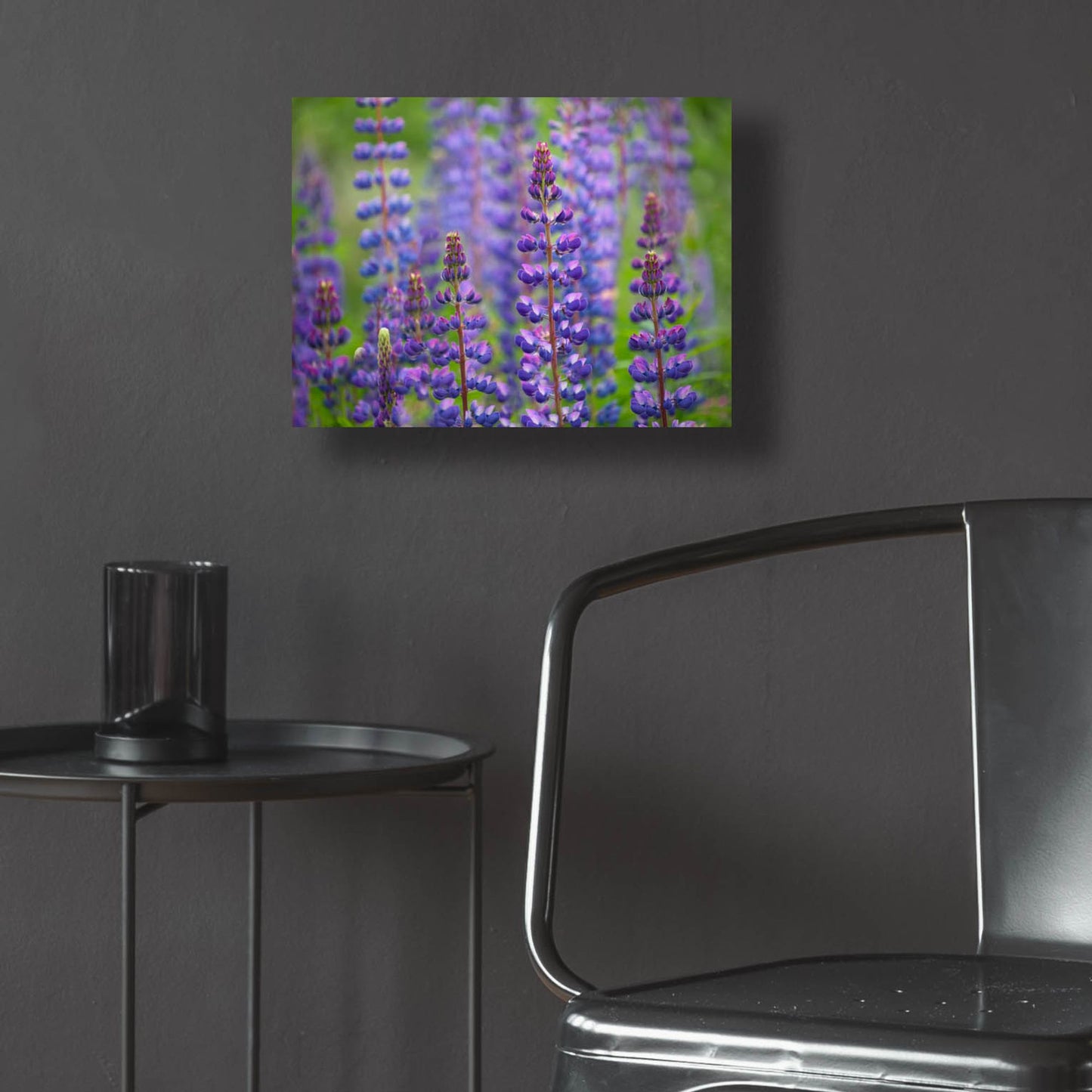 Epic Art 'Blue Lupine Flowers' by Cora Niele, Acrylic Glass Wall Art,16x12