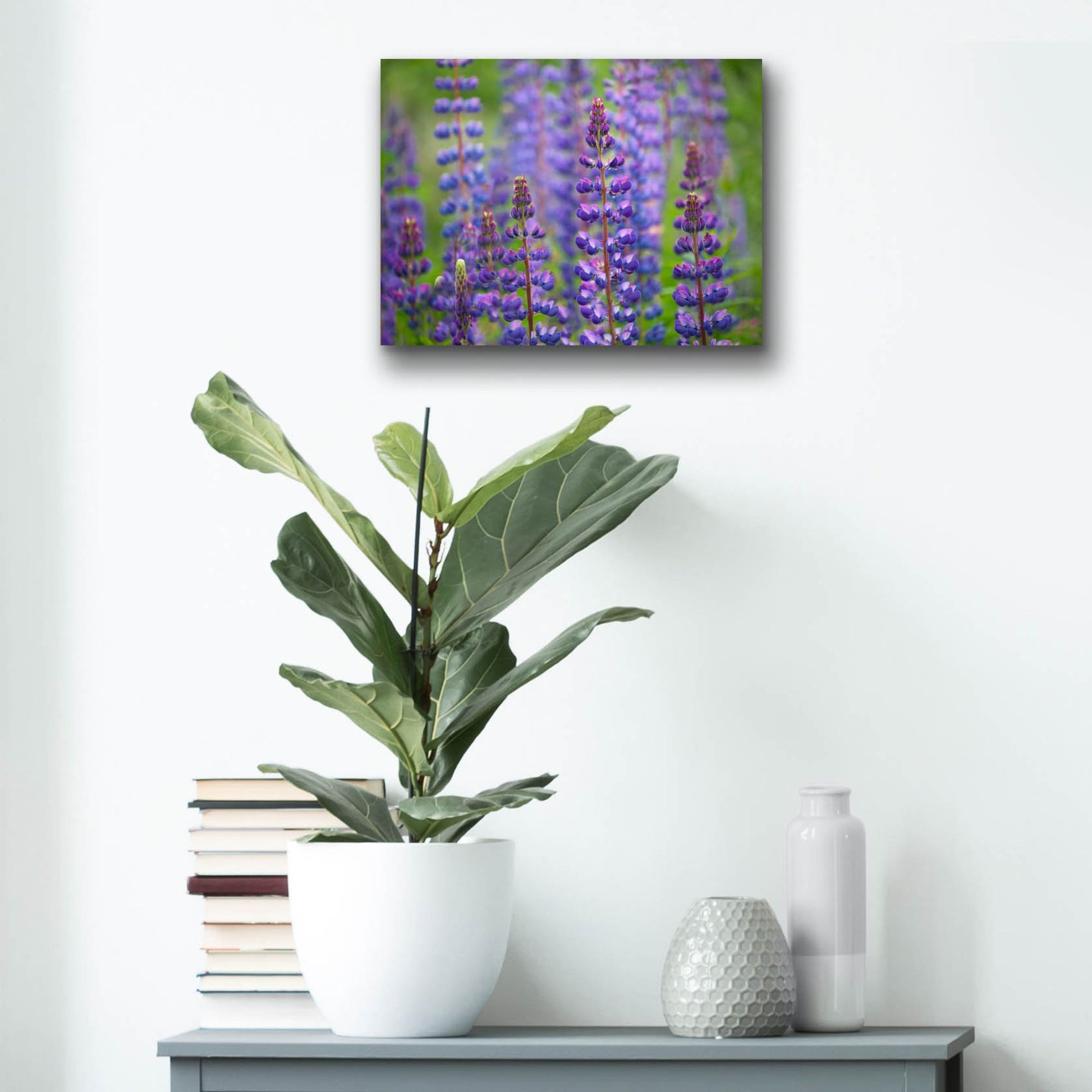 Epic Art 'Blue Lupine Flowers' by Cora Niele, Acrylic Glass Wall Art,16x12