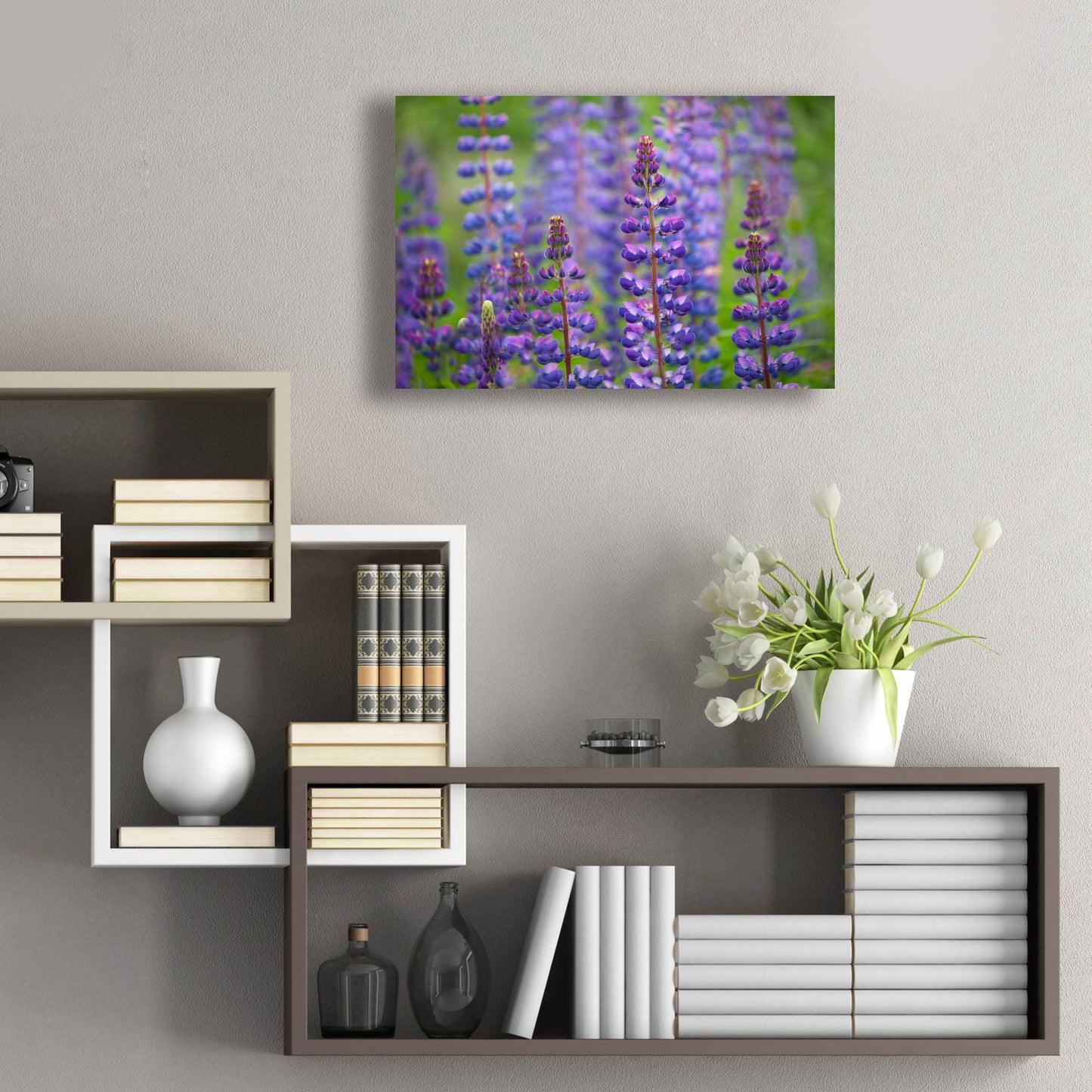 Epic Art 'Blue Lupine Flowers' by Cora Niele, Acrylic Glass Wall Art,24x16