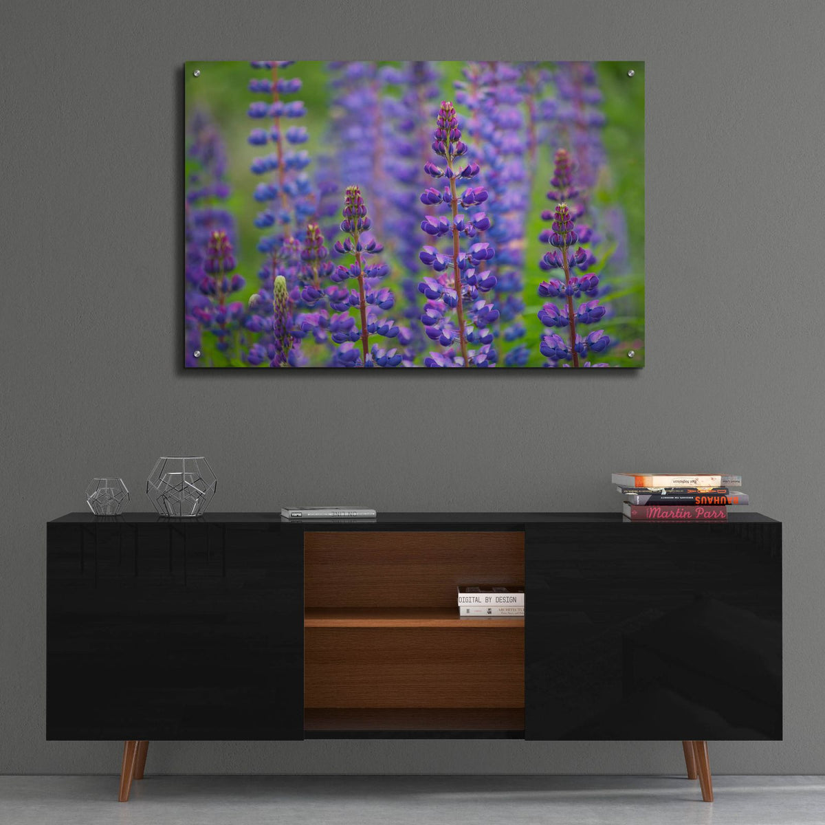 Blue Lupine Flowers by Cora Niele - 36x24 acrylic wall art in a room