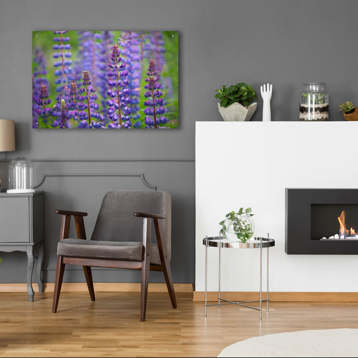 Epic Art 'Blue Lupine Flowers' by Cora Niele, Acrylic Glass Wall Art,36x24