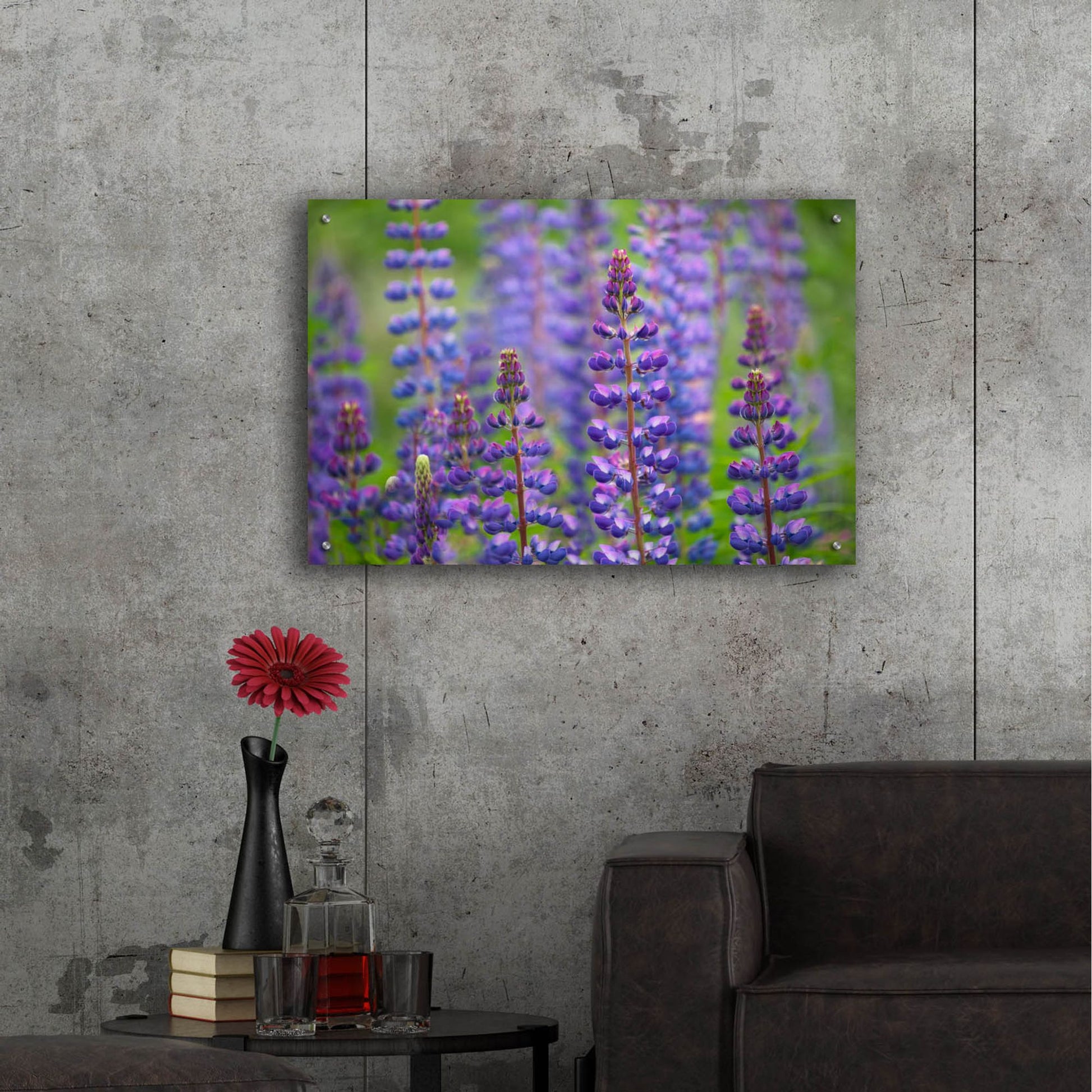 Epic Art 'Blue Lupine Flowers' by Cora Niele, Acrylic Glass Wall Art,36x24