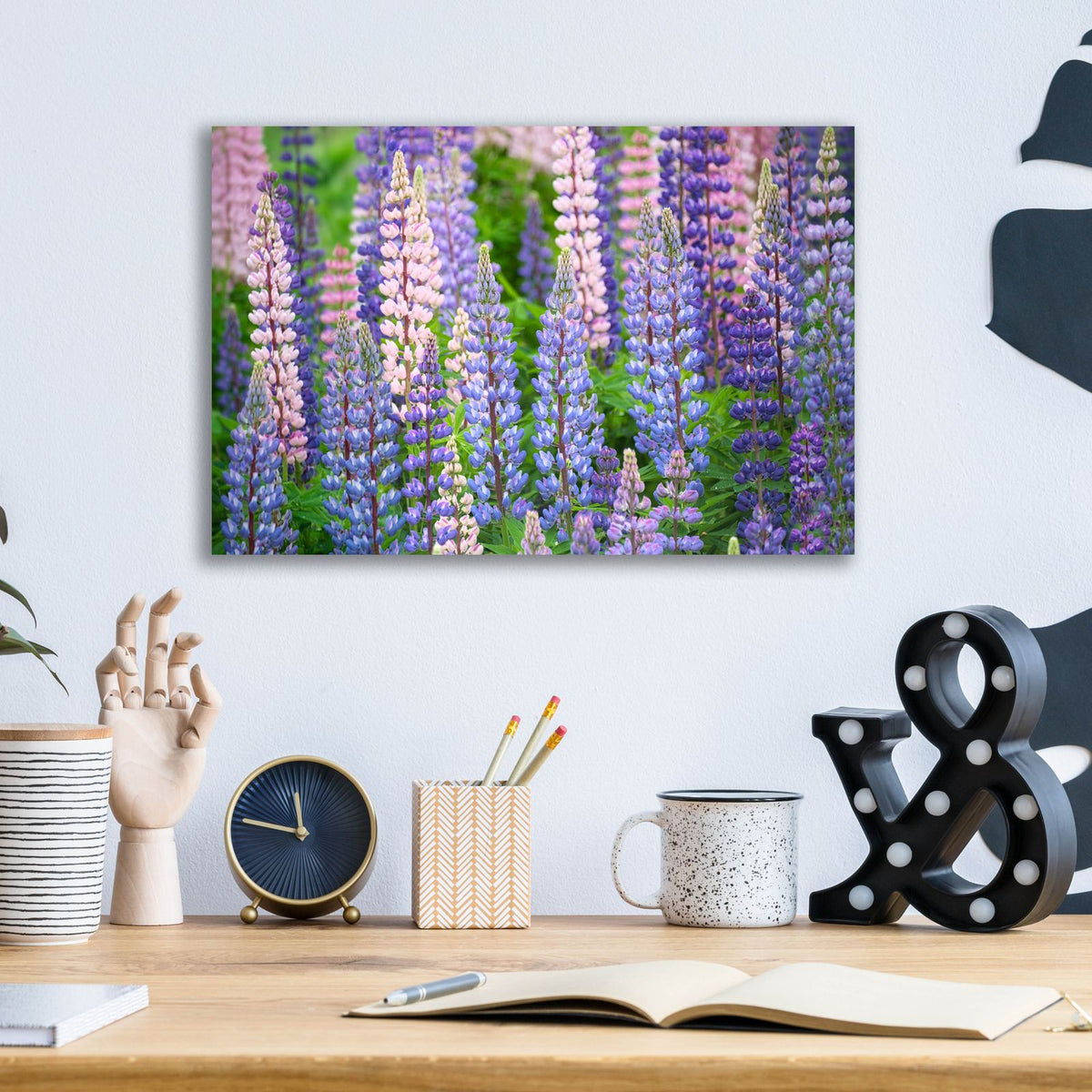 Blue Pink Lupine Field by Cora Niele - 16x12 acrylic wall art in a room