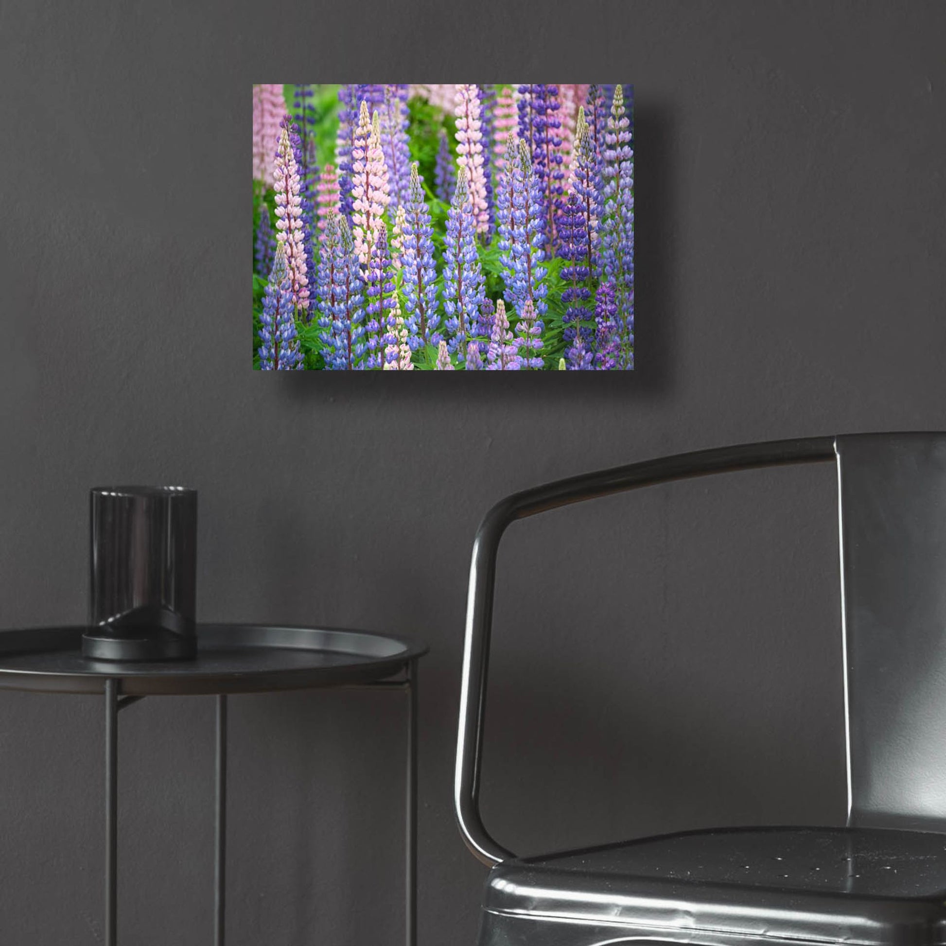 Epic Art 'Blue Pink Lupine Field' by Cora Niele, Acrylic Glass Wall Art,16x12