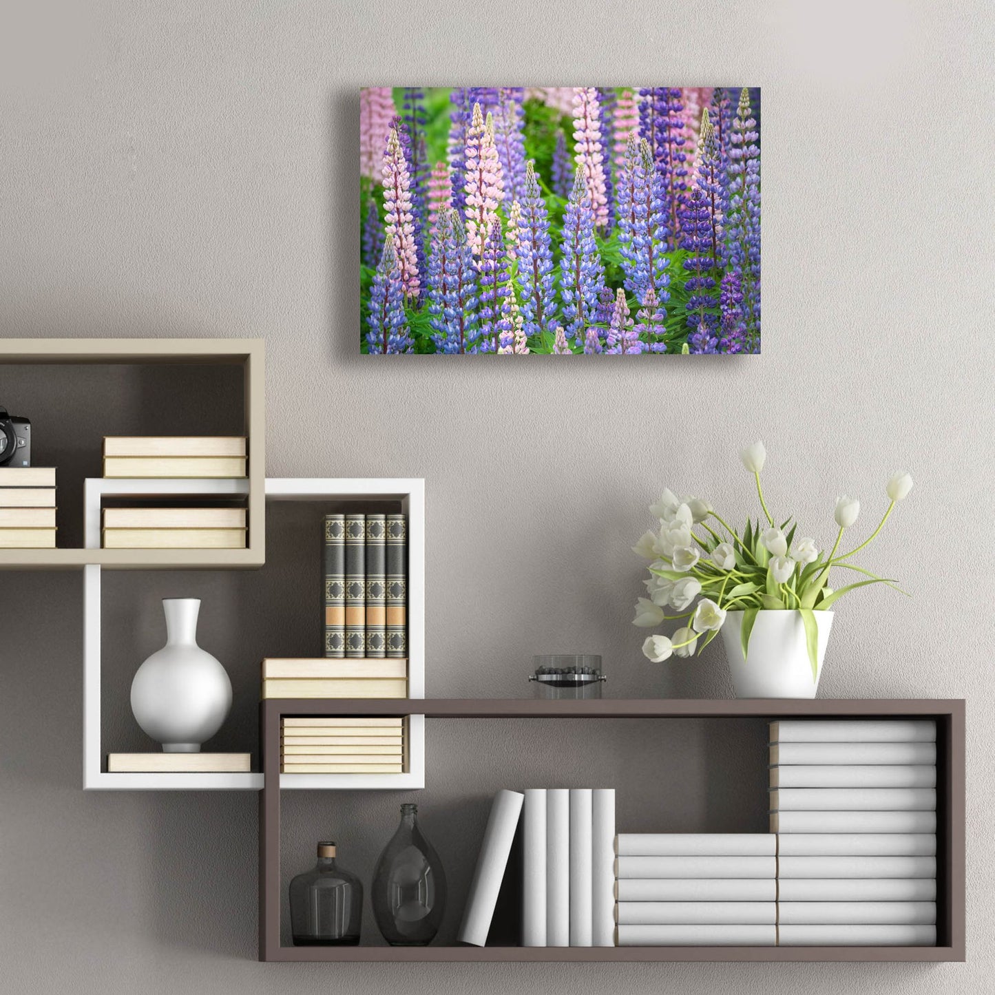 Epic Art 'Blue Pink Lupine Field' by Cora Niele, Acrylic Glass Wall Art,24x16