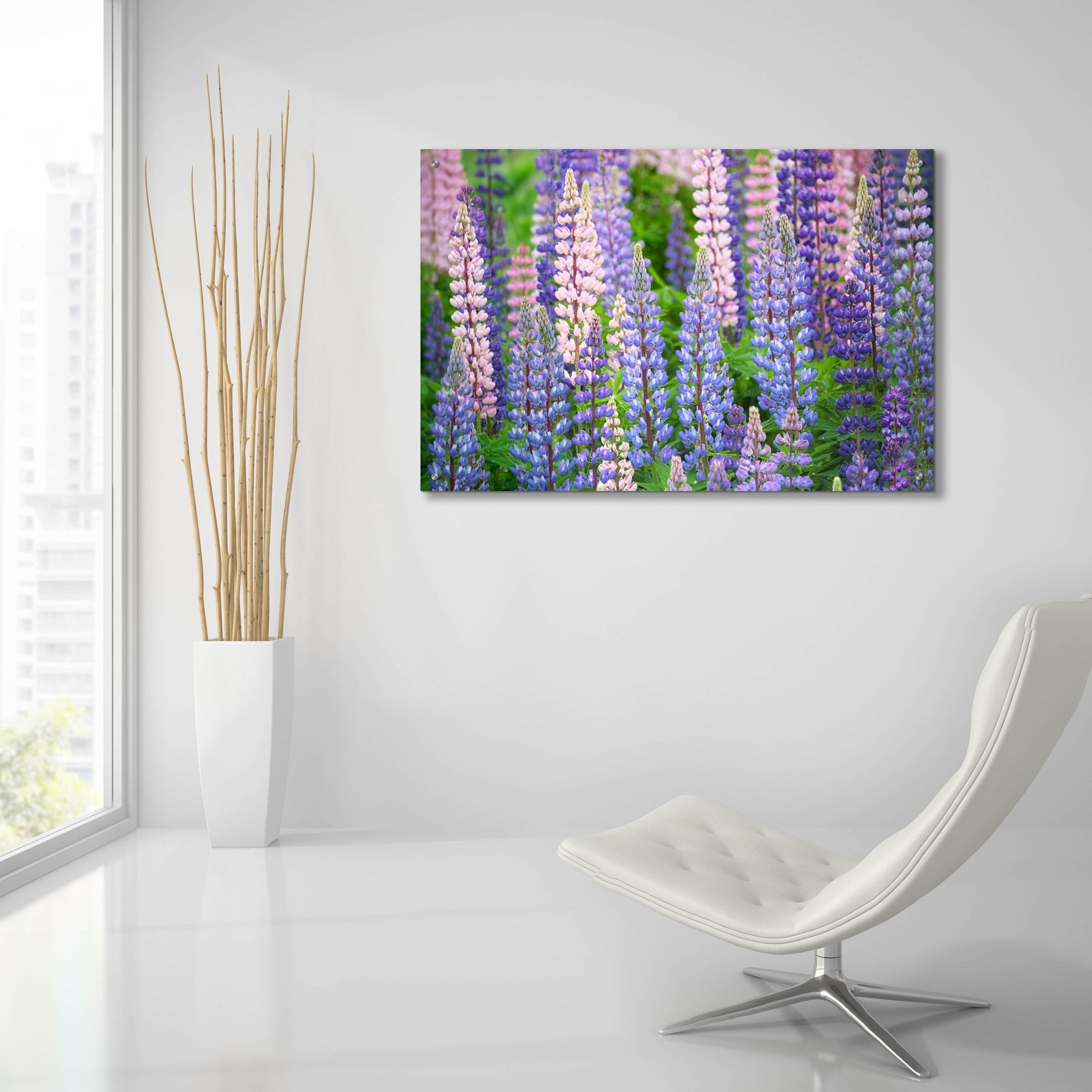 Epic Art 'Blue Pink Lupine Field' by Cora Niele, Acrylic Glass Wall Art,36x24