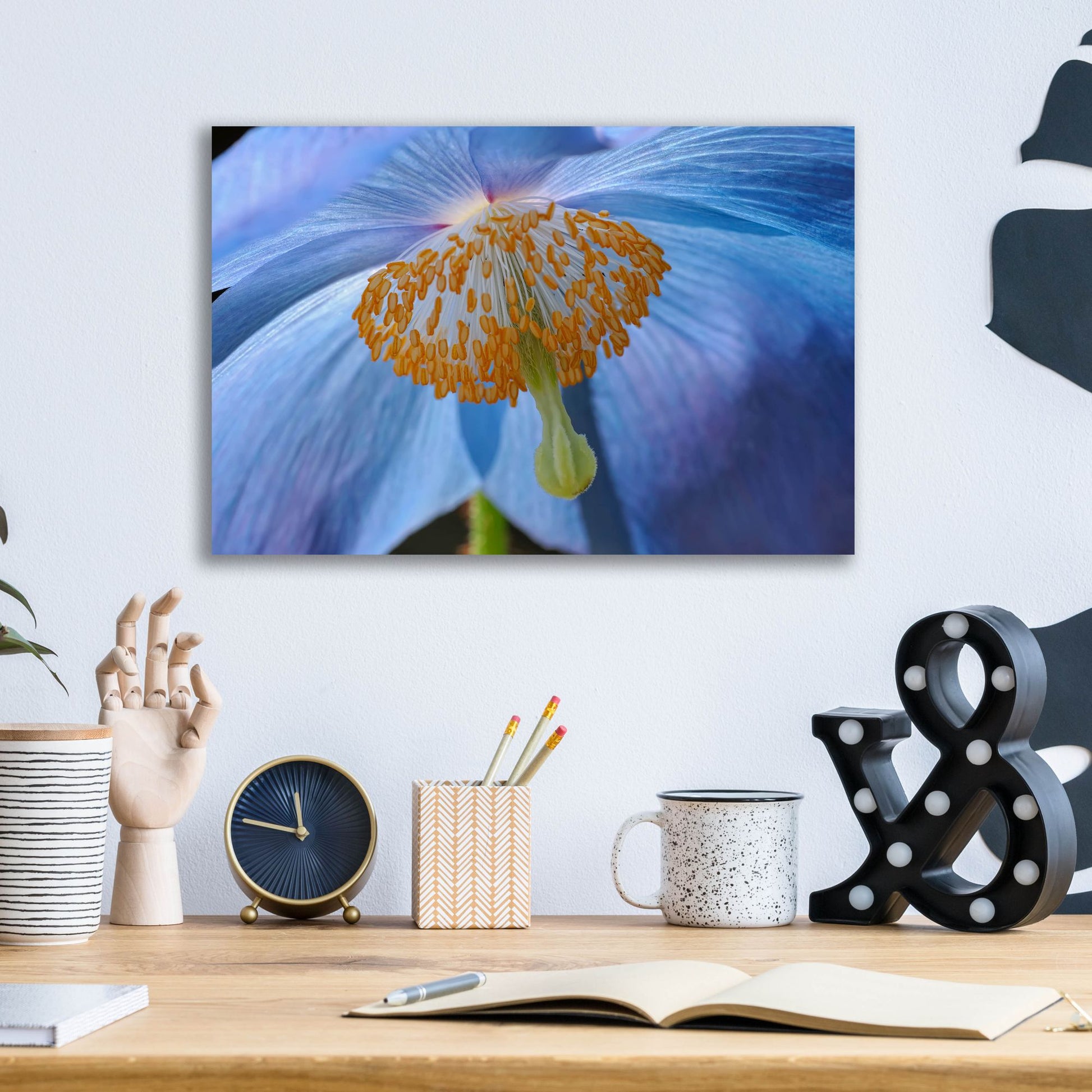 Epic Art 'Blue Poppy' by Cora Niele, Acrylic Glass Wall Art,16x12