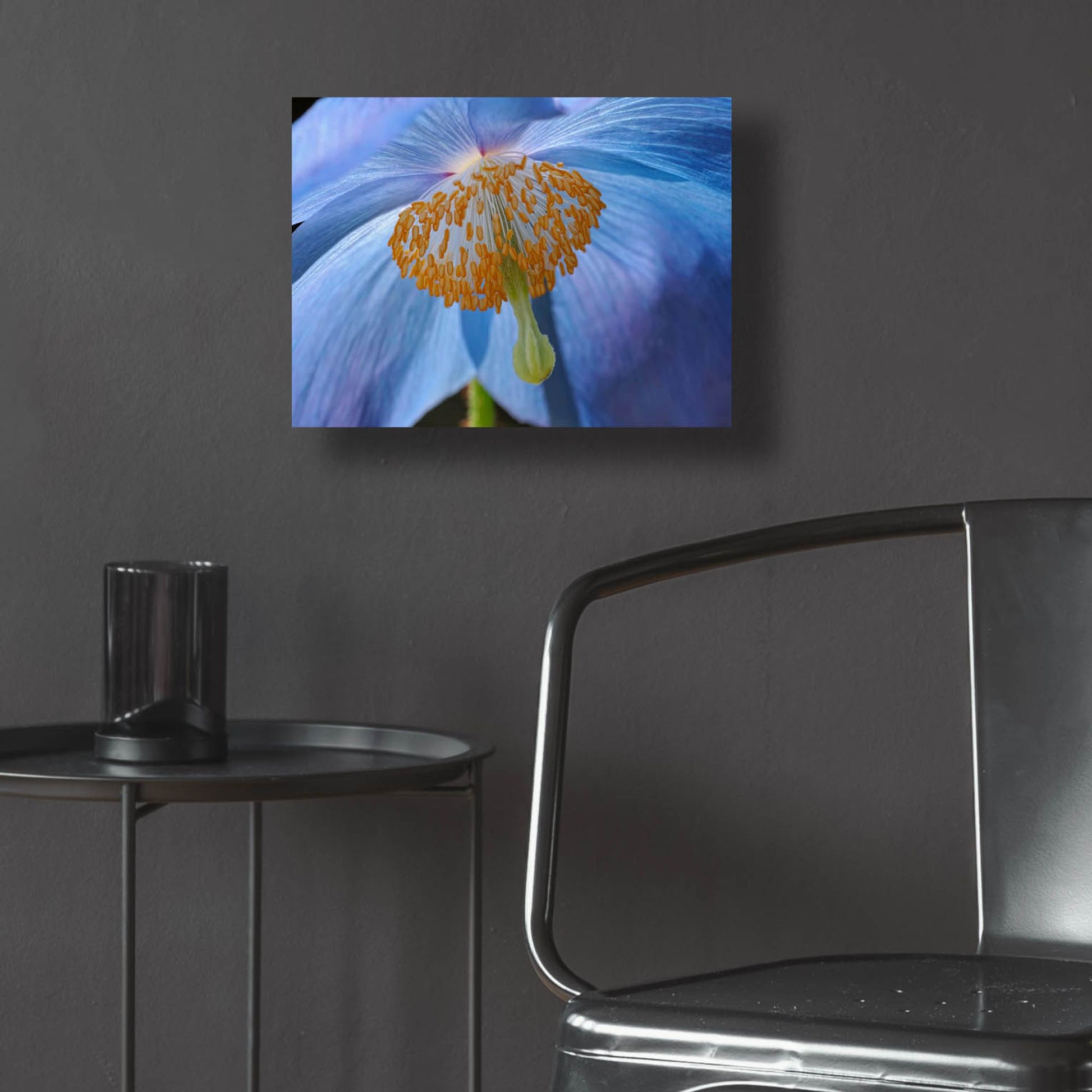 Epic Art 'Blue Poppy' by Cora Niele, Acrylic Glass Wall Art,16x12