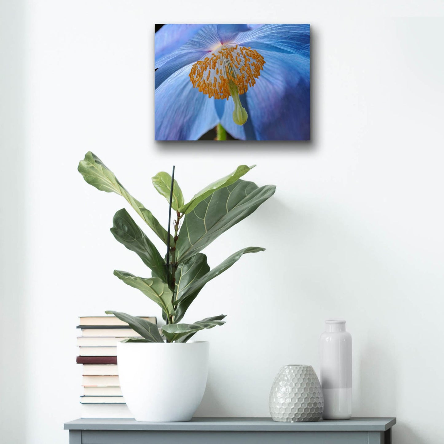 Epic Art 'Blue Poppy' by Cora Niele, Acrylic Glass Wall Art,16x12