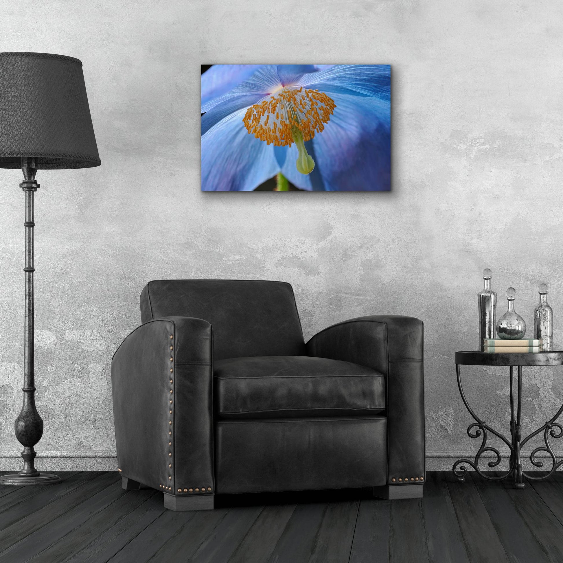 Epic Art 'Blue Poppy' by Cora Niele, Acrylic Glass Wall Art,24x16