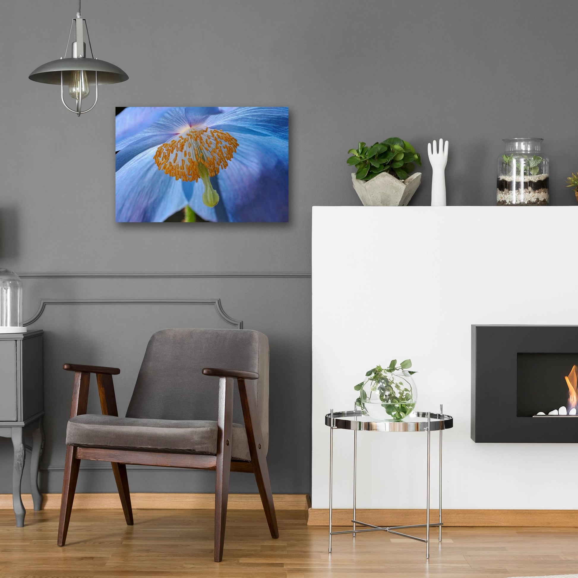 Epic Art 'Blue Poppy' by Cora Niele, Acrylic Glass Wall Art,24x16