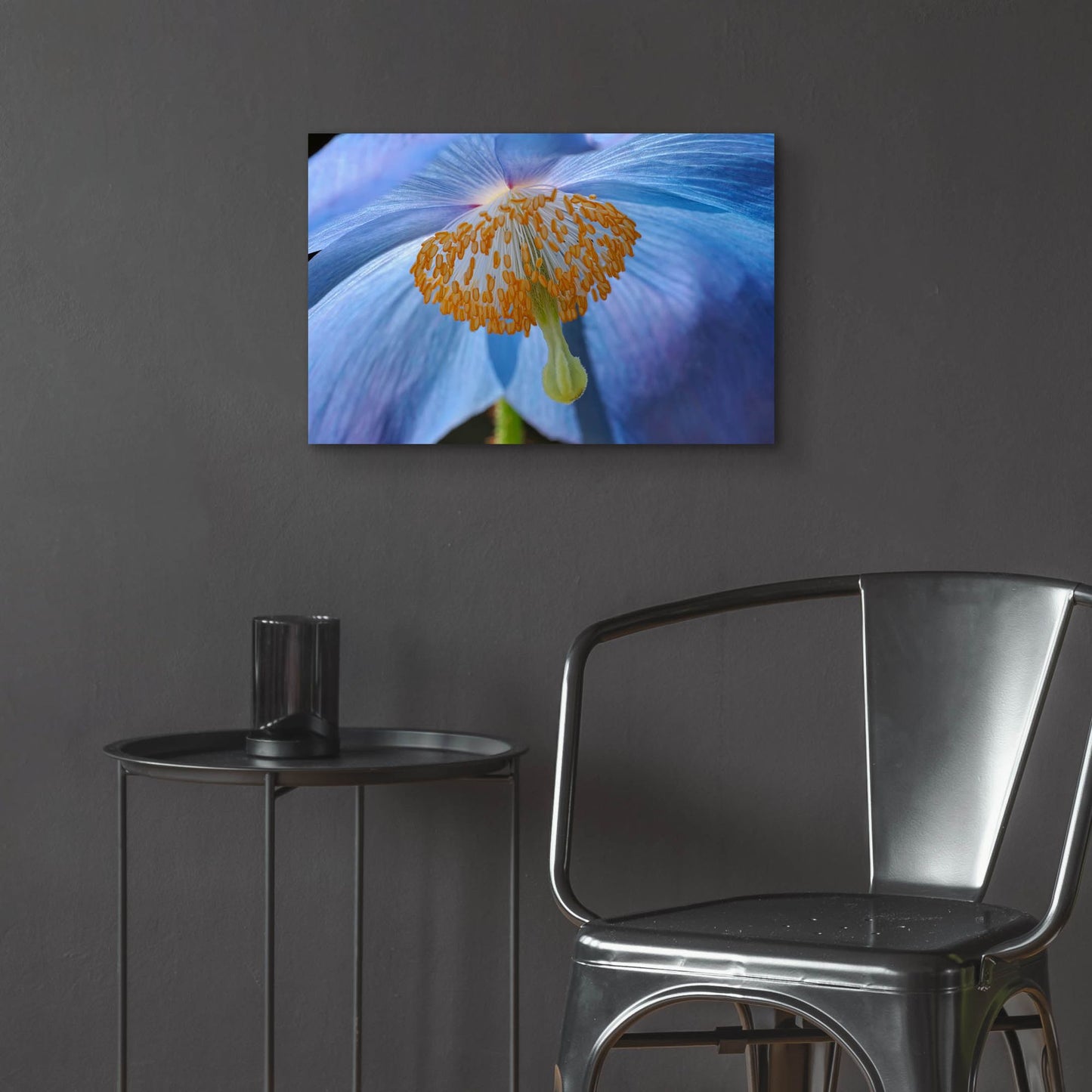 Epic Art 'Blue Poppy' by Cora Niele, Acrylic Glass Wall Art,24x16