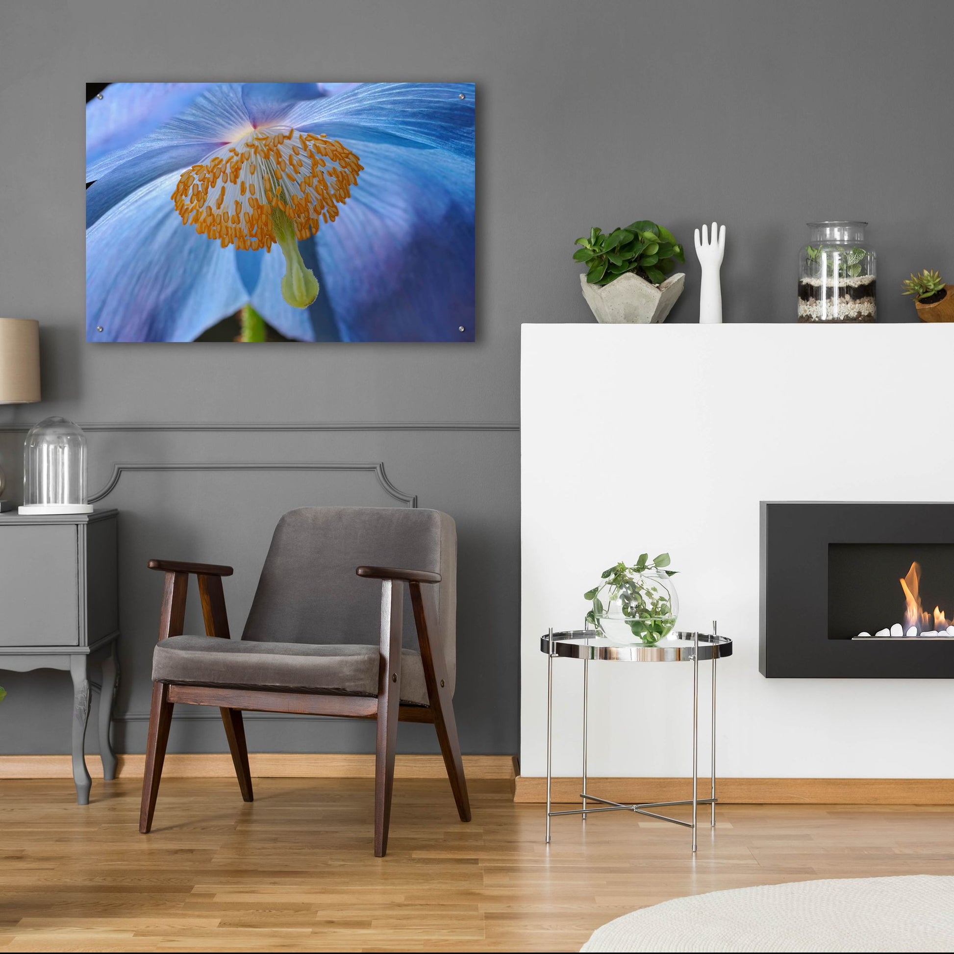 Epic Art 'Blue Poppy' by Cora Niele, Acrylic Glass Wall Art,36x24