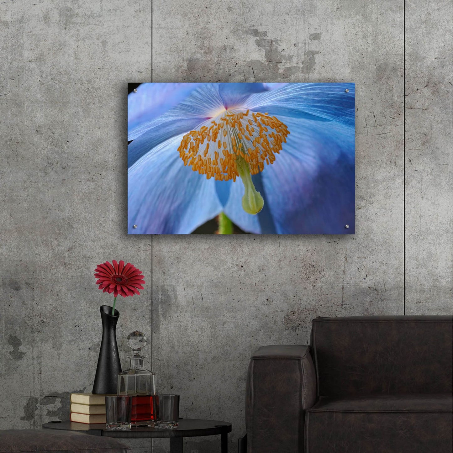 Epic Art 'Blue Poppy' by Cora Niele, Acrylic Glass Wall Art,36x24