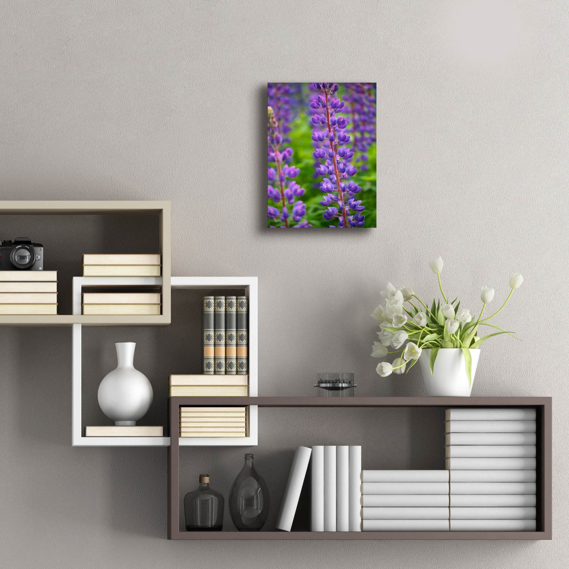 Epic Art 'Blue Violet Lupine Flower' by Cora Niele, Acrylic Glass Wall Art,12x16