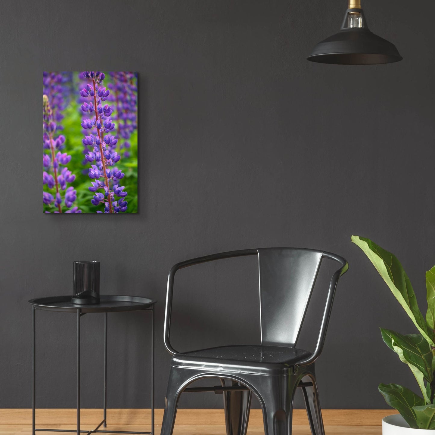 Epic Art 'Blue Violet Lupine Flower' by Cora Niele, Acrylic Glass Wall Art,16x24