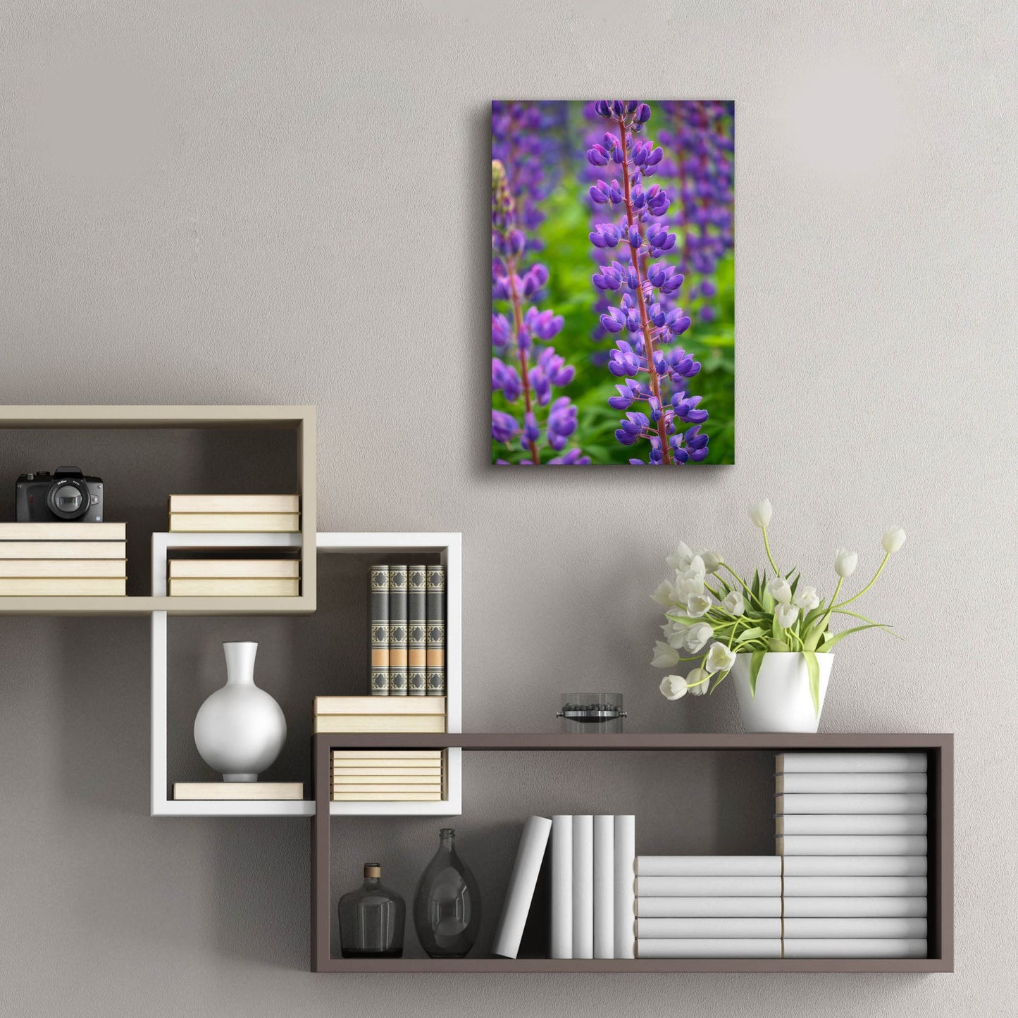 Epic Art 'Blue Violet Lupine Flower' by Cora Niele, Acrylic Glass Wall Art,16x24