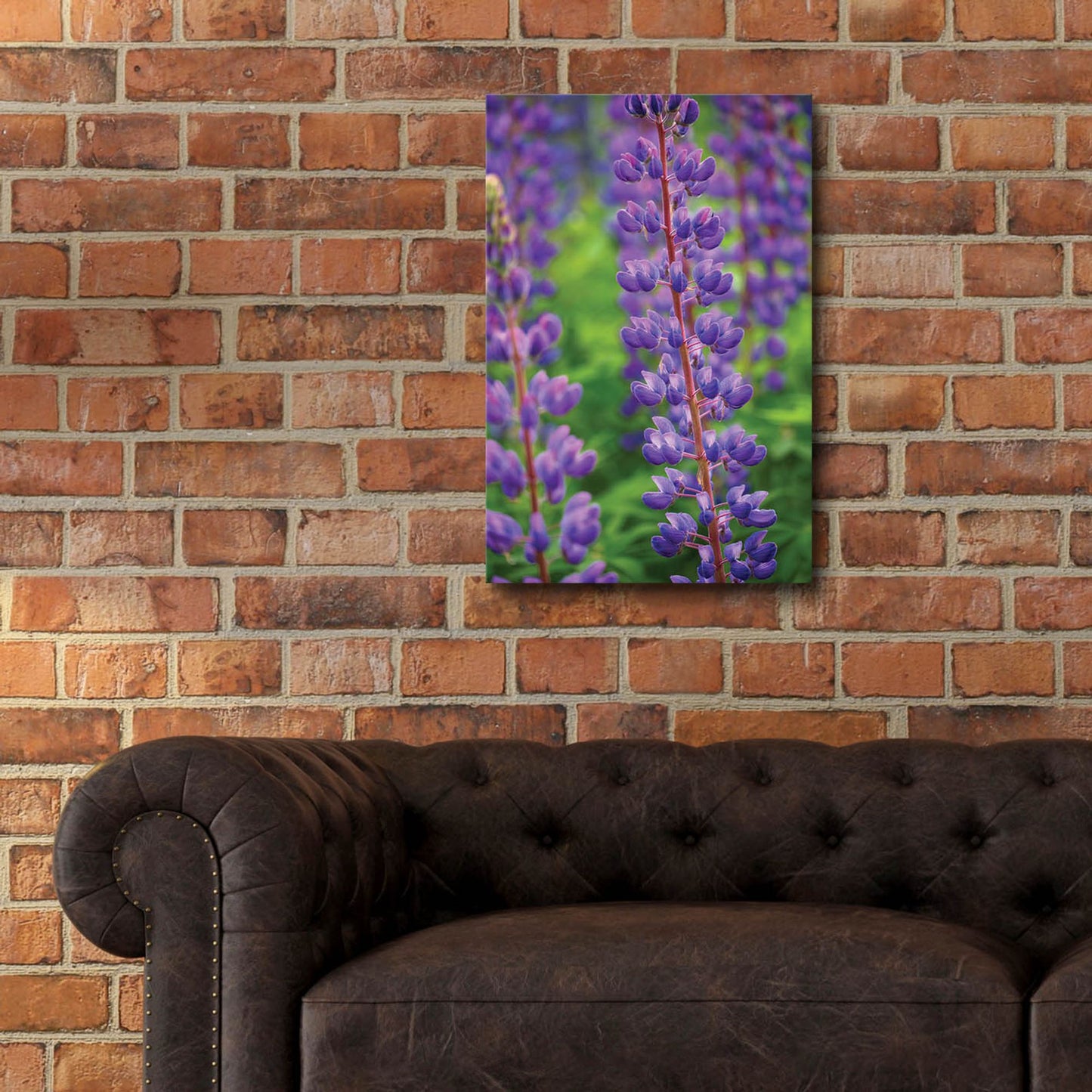 Epic Art 'Blue Violet Lupine Flower' by Cora Niele, Acrylic Glass Wall Art,16x24