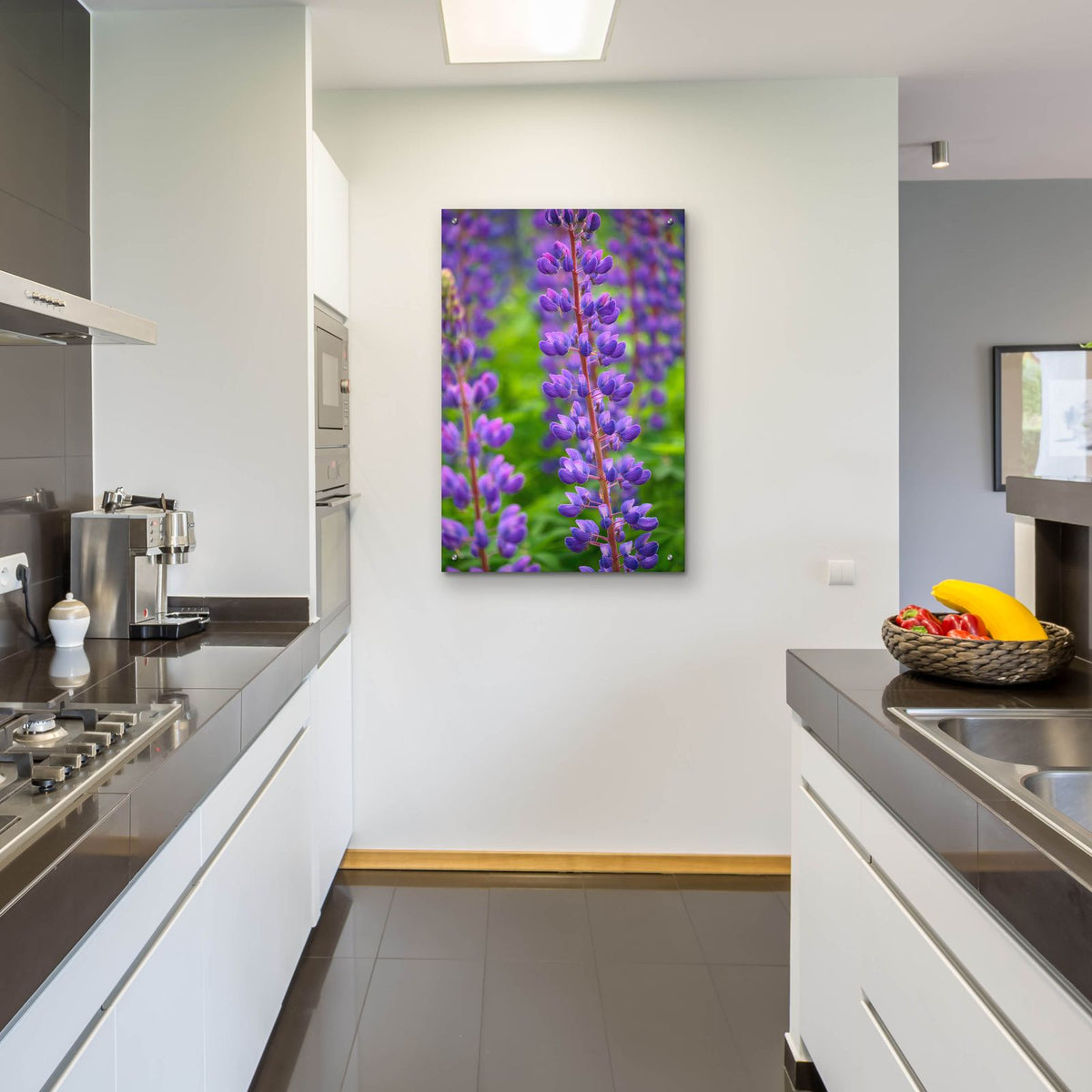 Blue Violet Lupine Flower by Cora Niele - 24x36 acrylic wall art in a room