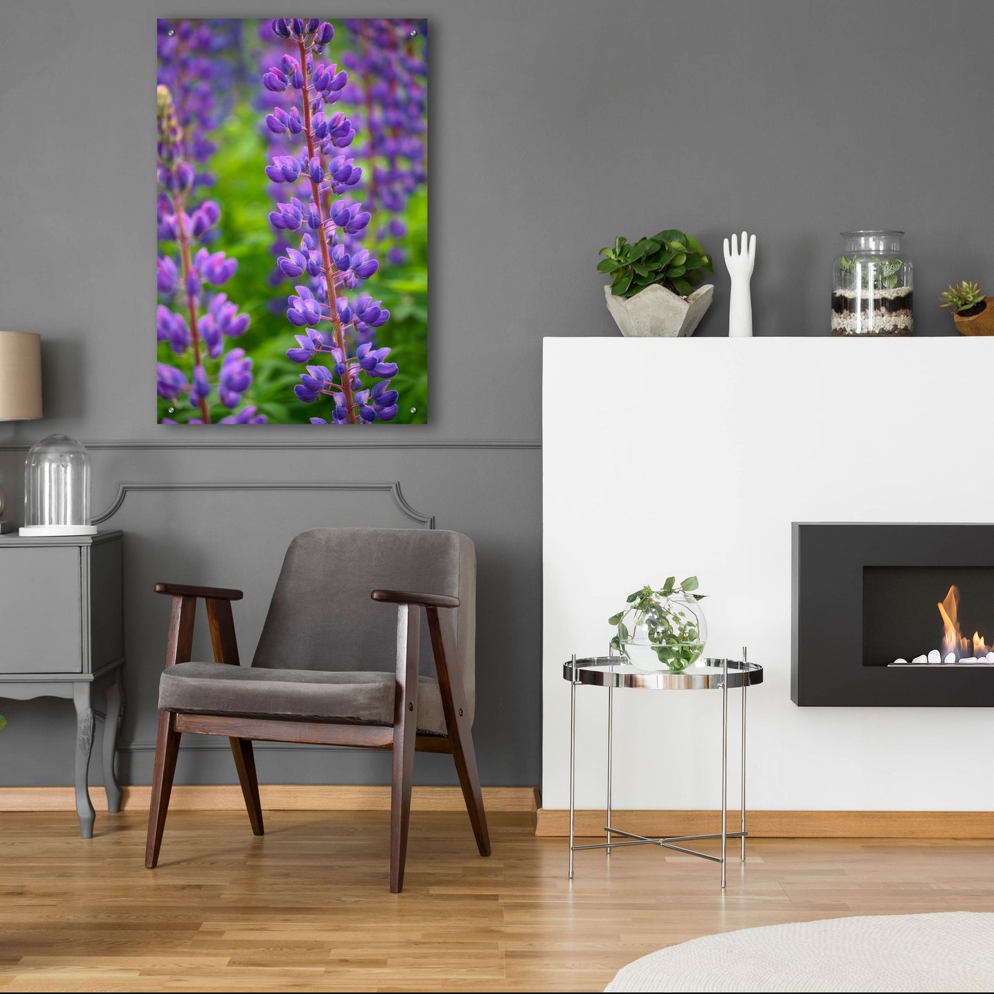 Epic Art 'Blue Violet Lupine Flower' by Cora Niele, Acrylic Glass Wall Art,24x36