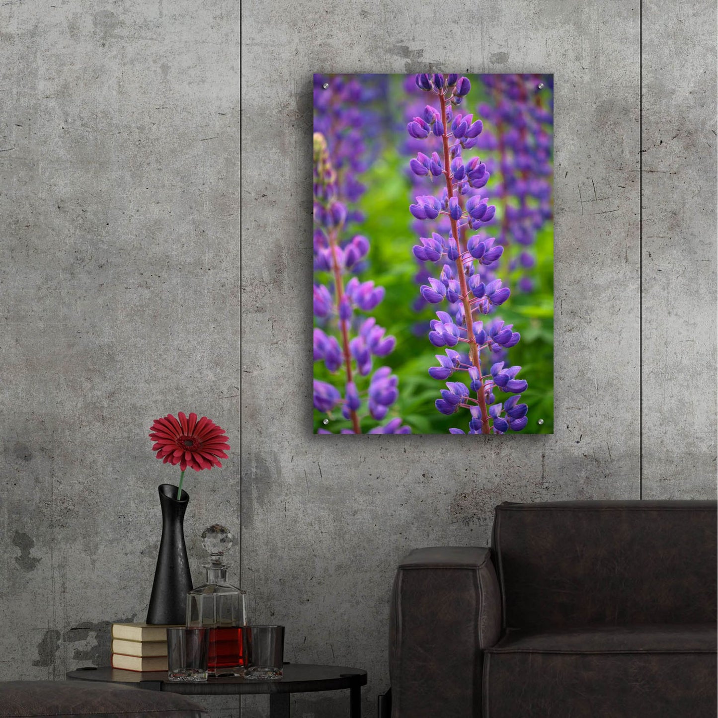 Epic Art 'Blue Violet Lupine Flower' by Cora Niele, Acrylic Glass Wall Art,24x36