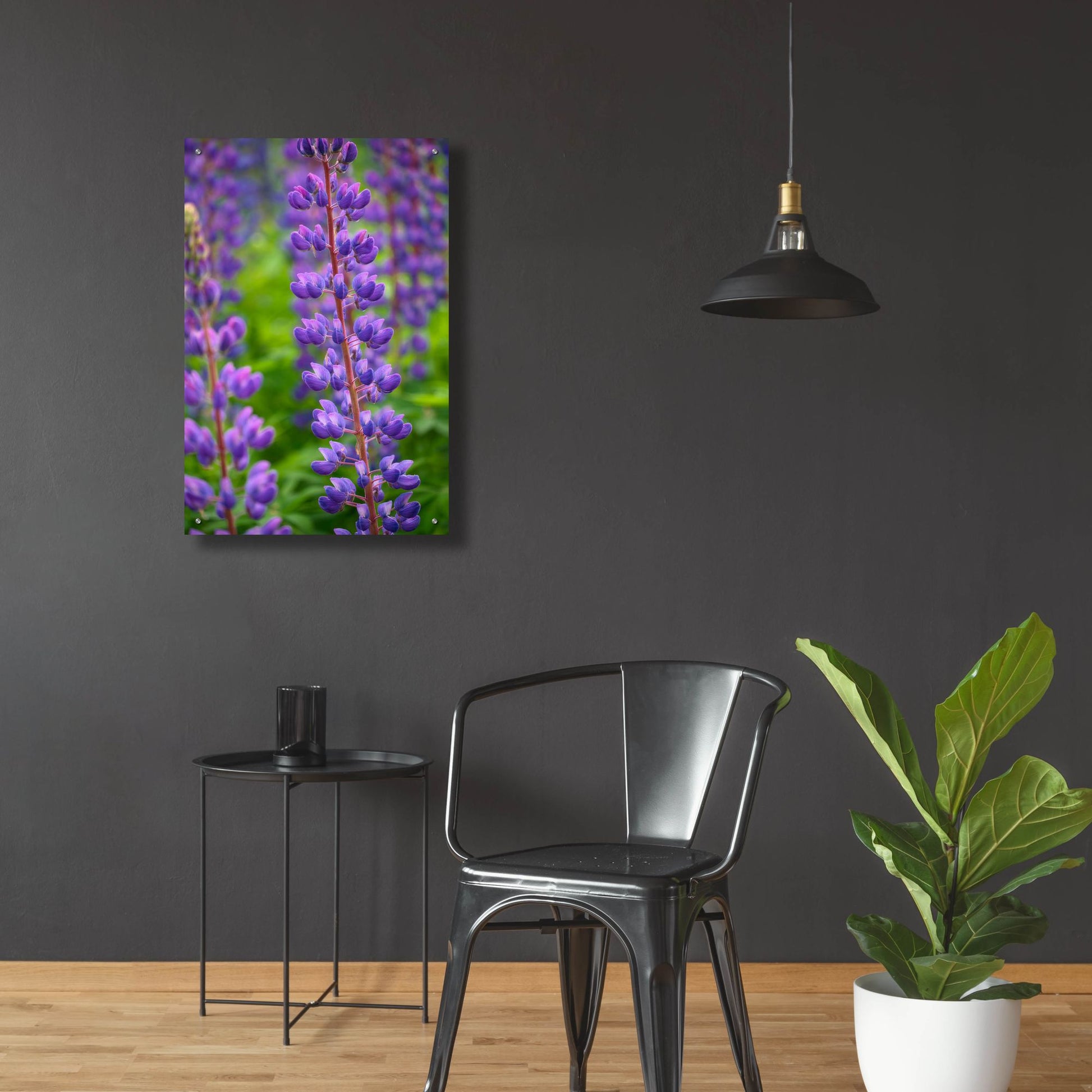 Epic Art 'Blue Violet Lupine Flower' by Cora Niele, Acrylic Glass Wall Art,24x36