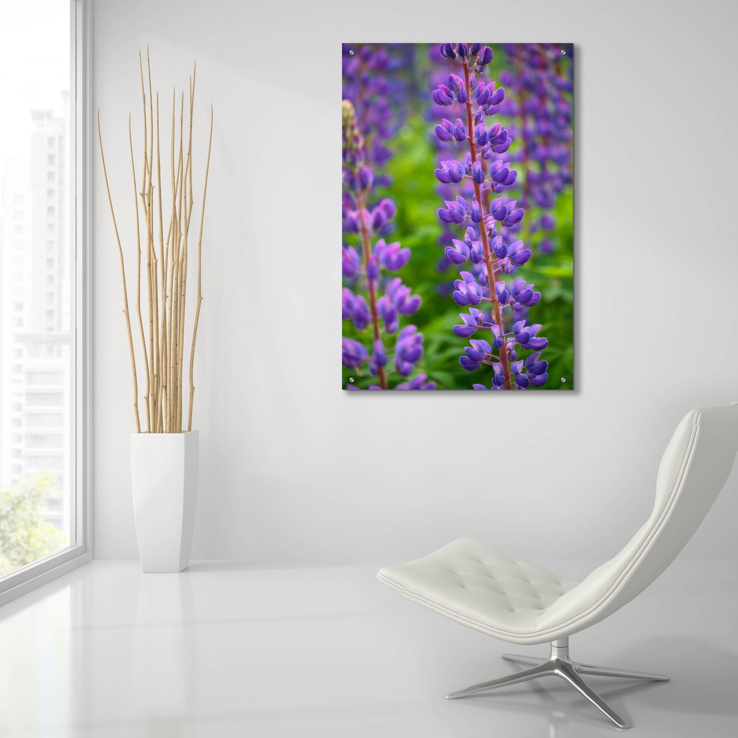 Epic Art 'Blue Violet Lupine Flower' by Cora Niele, Acrylic Glass Wall Art,24x36