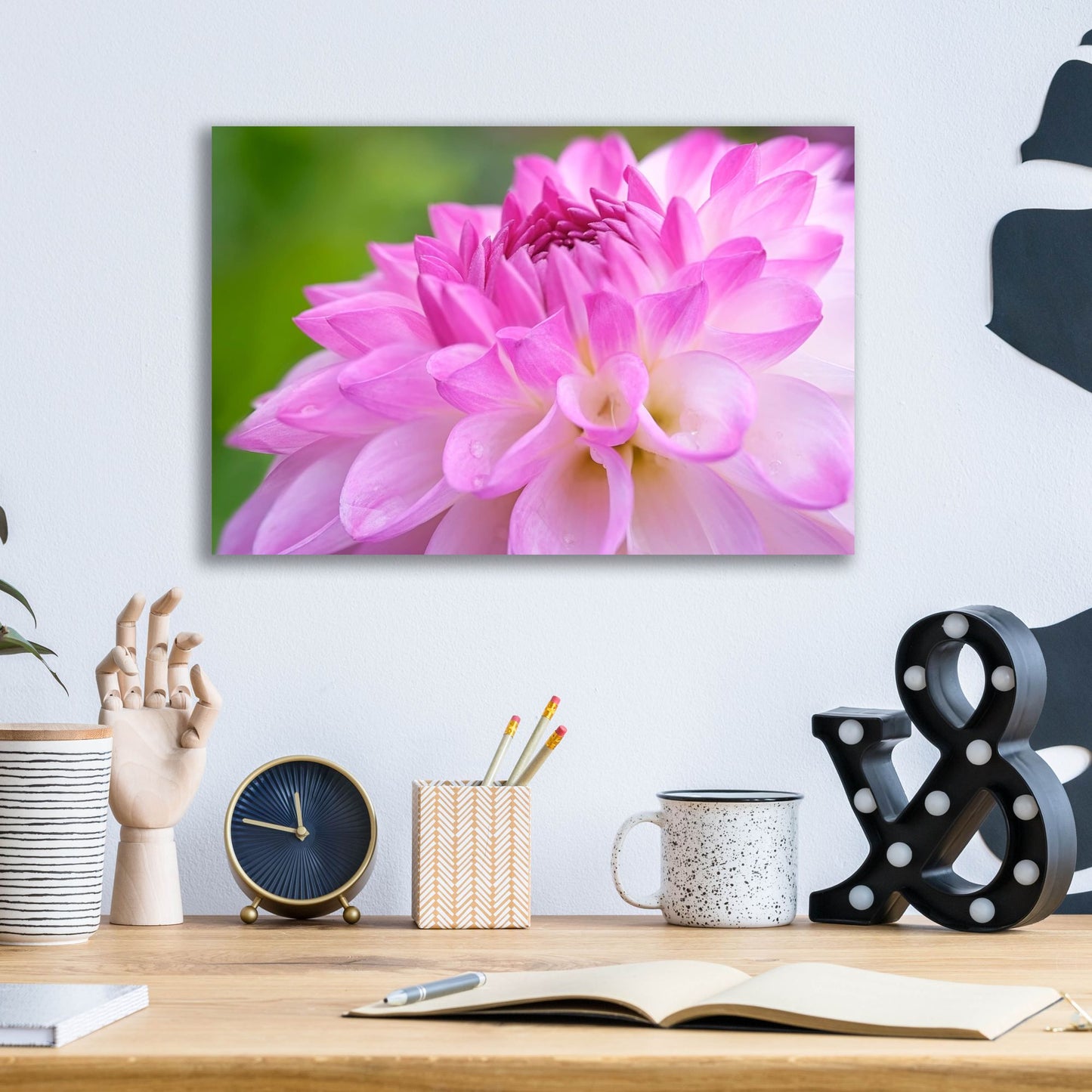 Epic Art 'Cerise Pink Dahlia' by Cora Niele, Acrylic Glass Wall Art,16x12