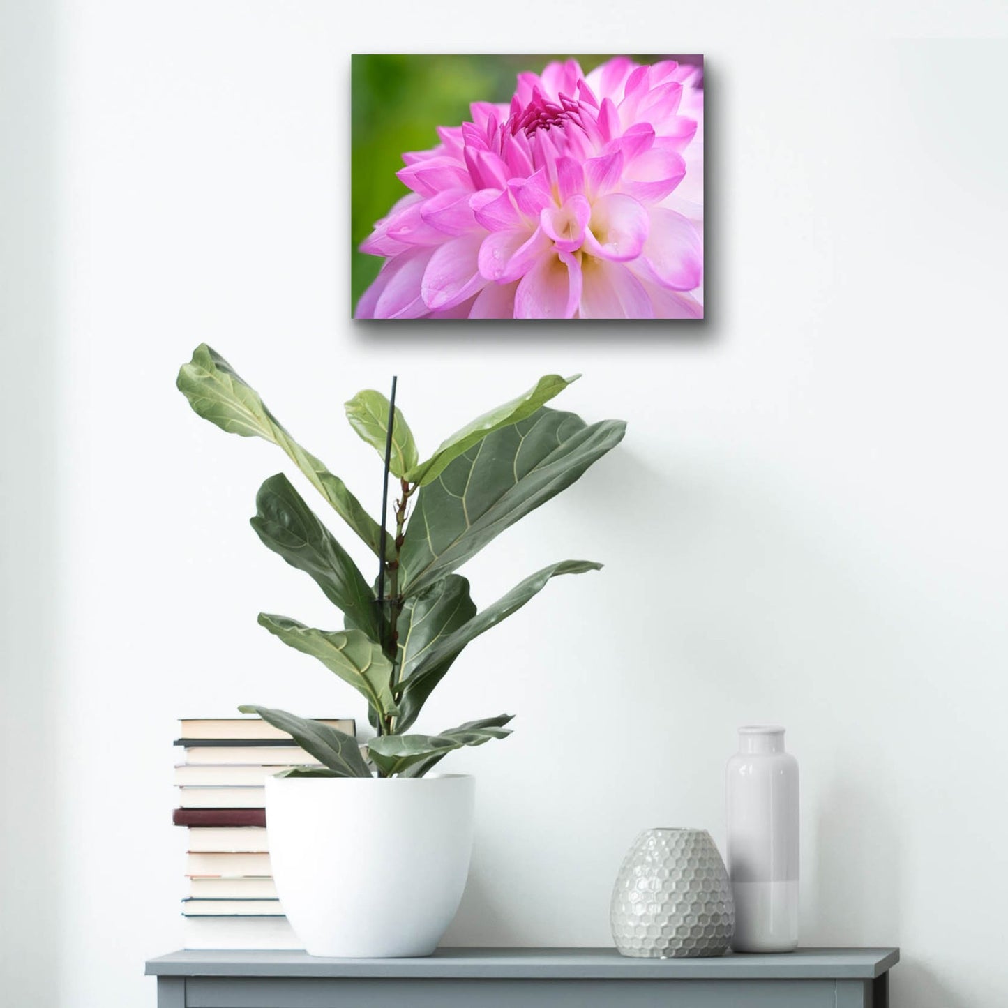 Epic Art 'Cerise Pink Dahlia' by Cora Niele, Acrylic Glass Wall Art,16x12