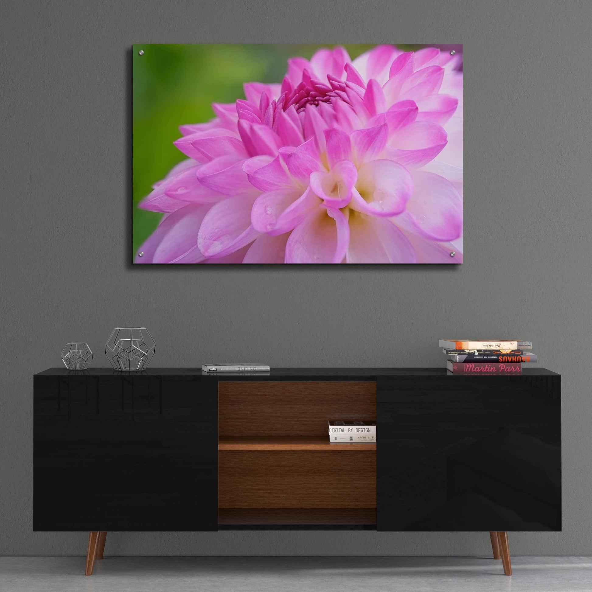 Epic Art 'Cerise Pink Dahlia' by Cora Niele, Acrylic Glass Wall Art,36x24