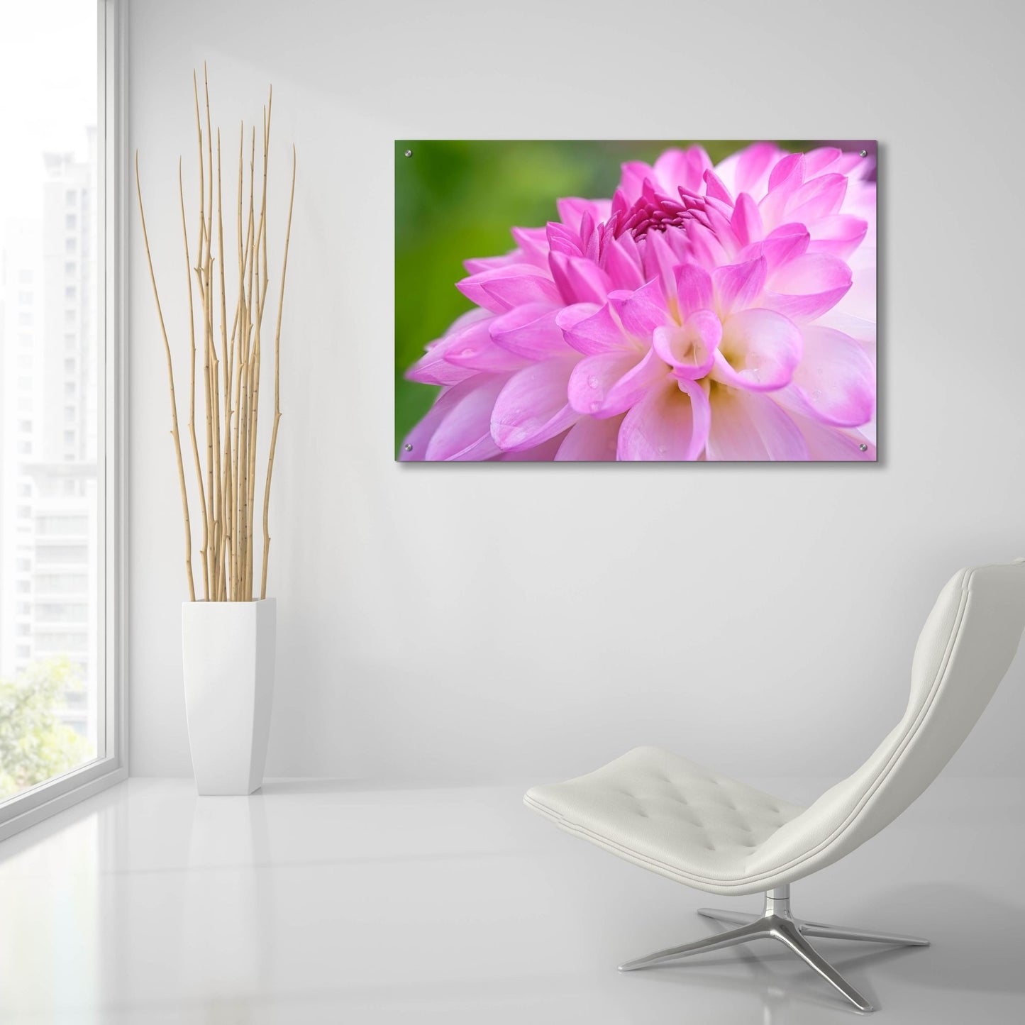 Epic Art 'Cerise Pink Dahlia' by Cora Niele, Acrylic Glass Wall Art,36x24