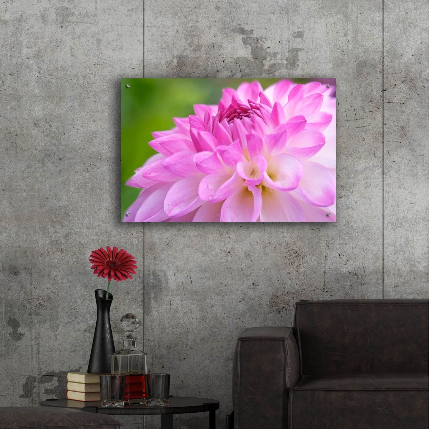 Epic Art 'Cerise Pink Dahlia' by Cora Niele, Acrylic Glass Wall Art,36x24