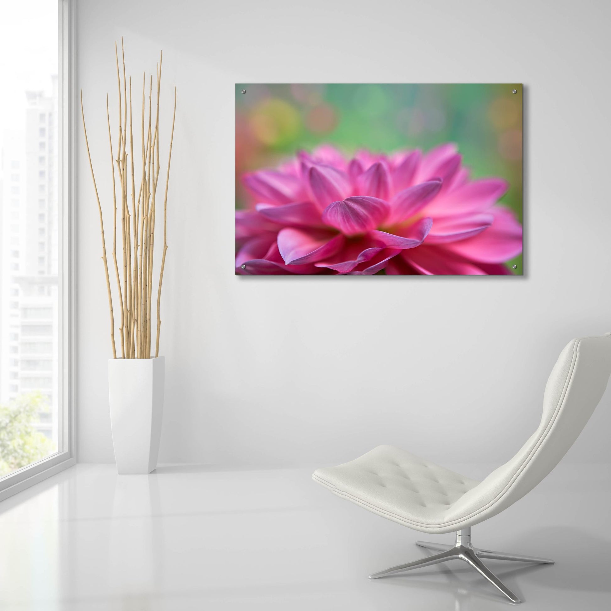 Epic Art 'Dahlia Petals' by Cora Niele, Acrylic Glass Wall Art,36x24