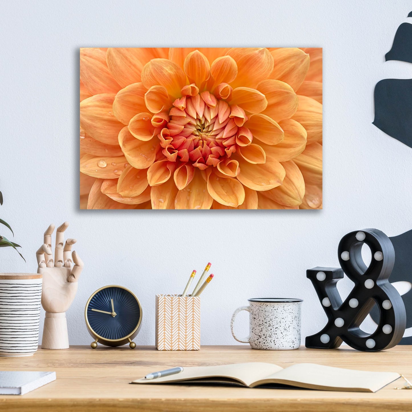 Epic Art 'Orange Dahlia' by Cora Niele, Acrylic Glass Wall Art,16x12