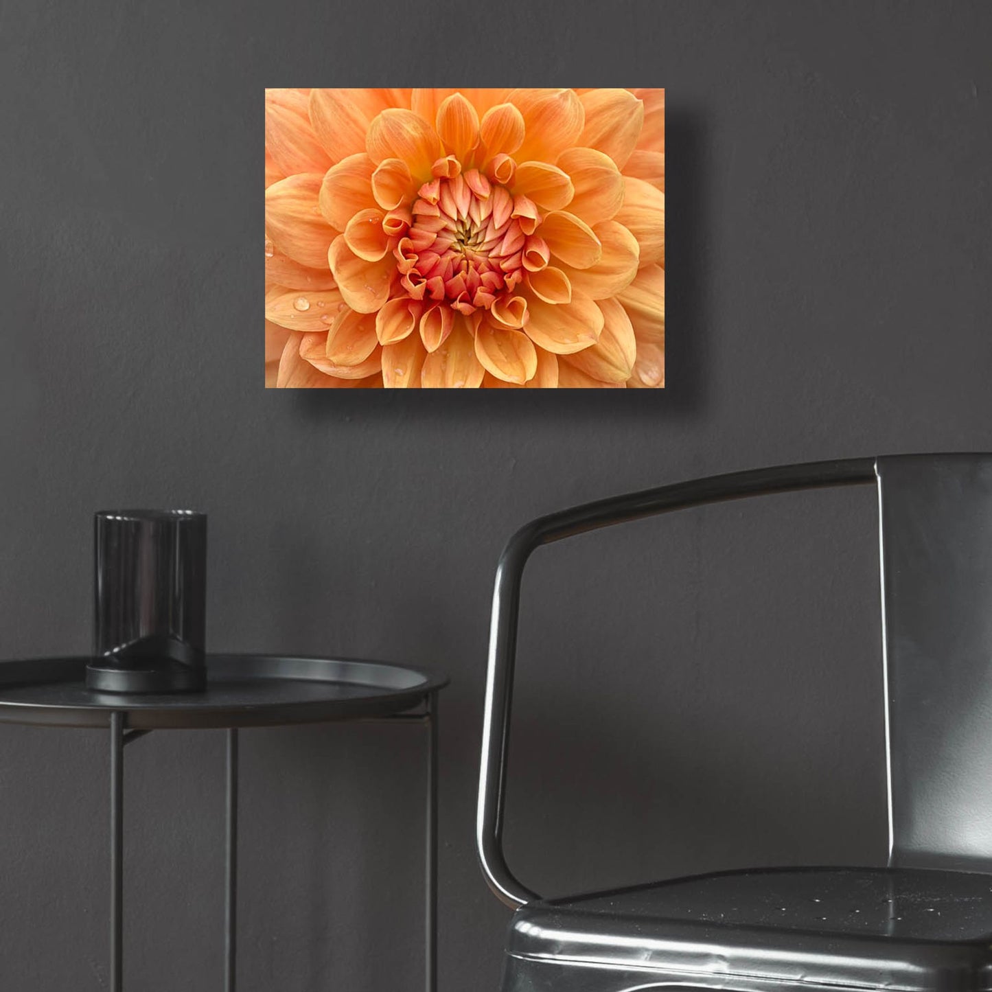 Epic Art 'Orange Dahlia' by Cora Niele, Acrylic Glass Wall Art,16x12