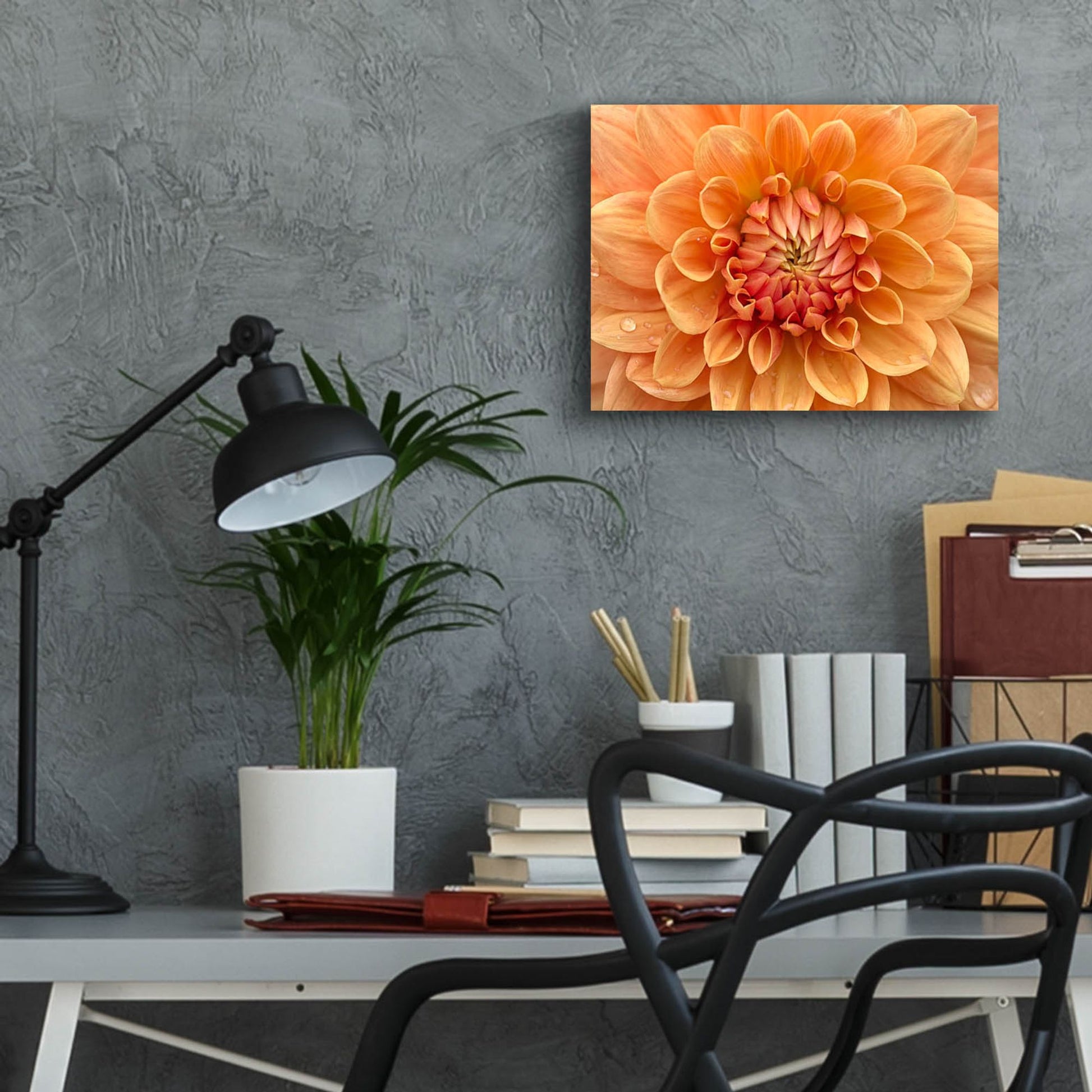 Epic Art 'Orange Dahlia' by Cora Niele, Acrylic Glass Wall Art,16x12