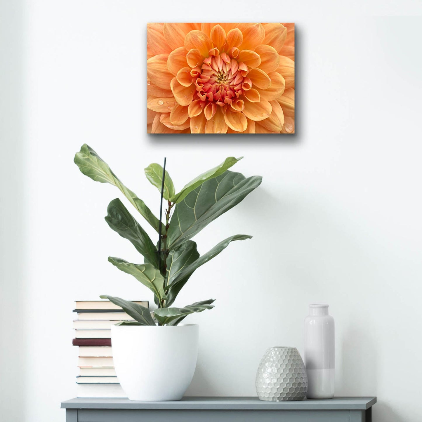 Epic Art 'Orange Dahlia' by Cora Niele, Acrylic Glass Wall Art,16x12