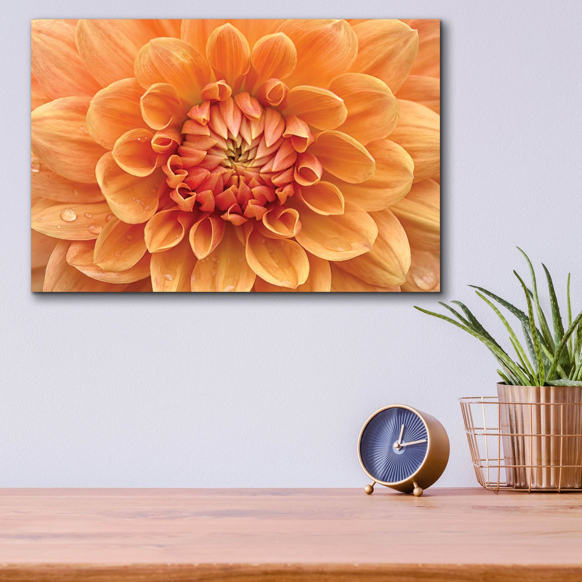 Epic Art 'Orange Dahlia' by Cora Niele, Acrylic Glass Wall Art,16x12