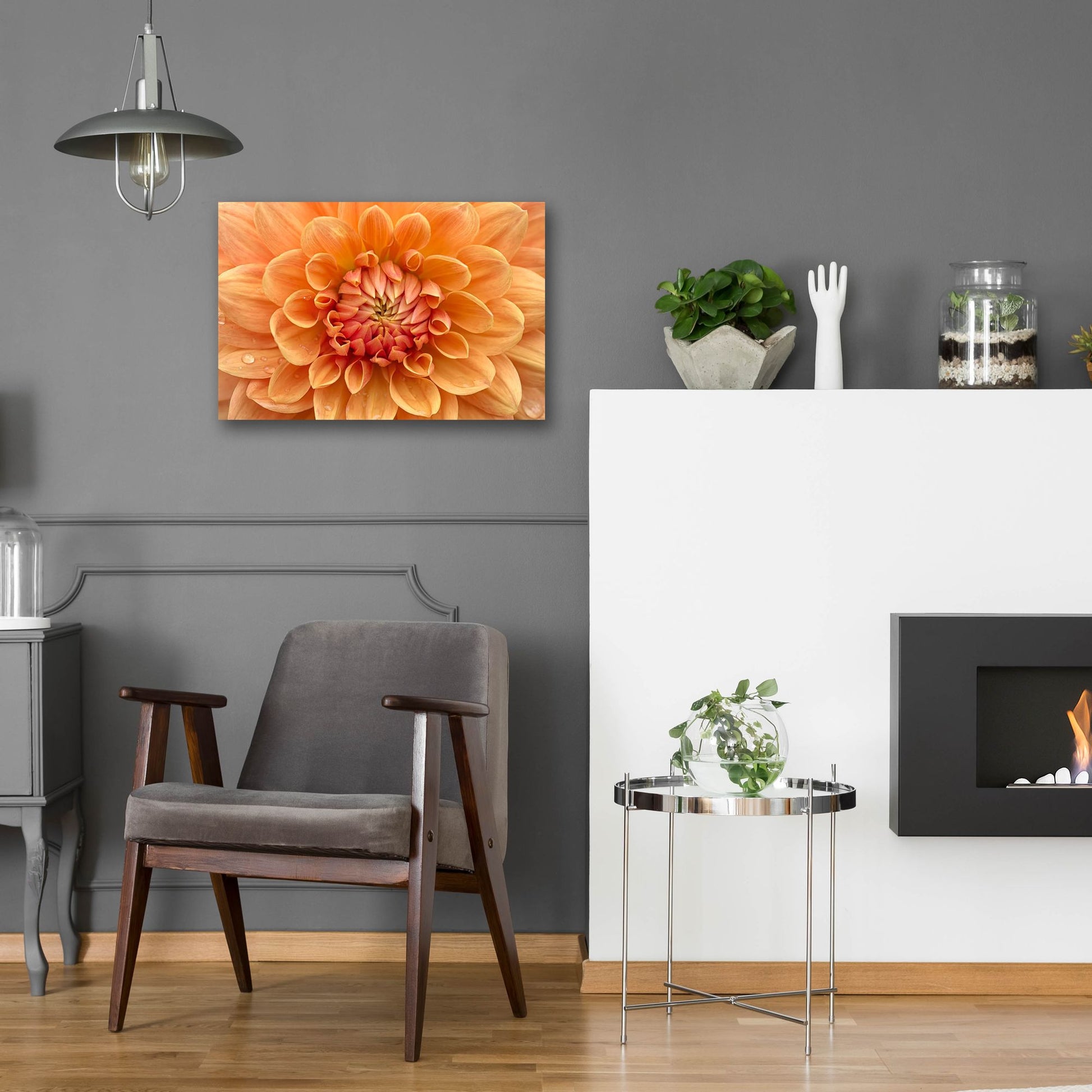 Epic Art 'Orange Dahlia' by Cora Niele, Acrylic Glass Wall Art,24x16