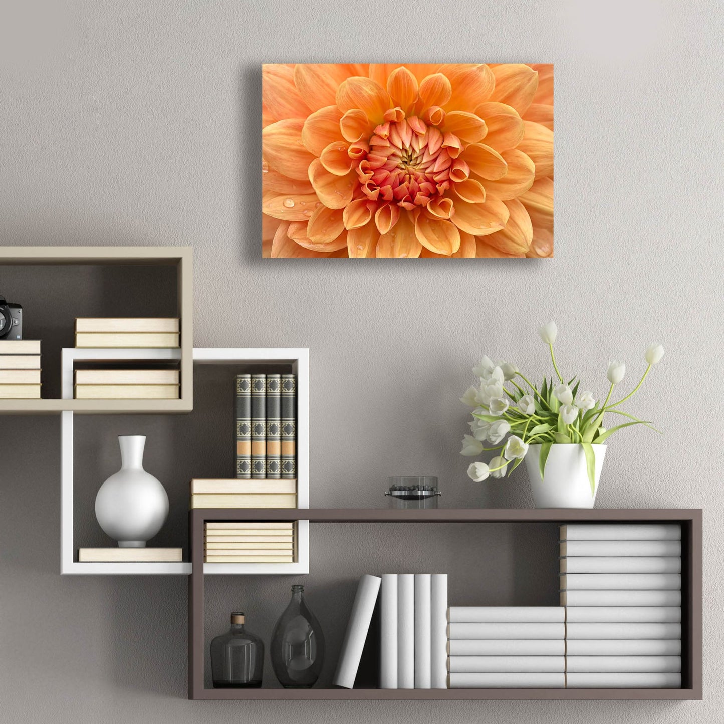 Epic Art 'Orange Dahlia' by Cora Niele, Acrylic Glass Wall Art,24x16