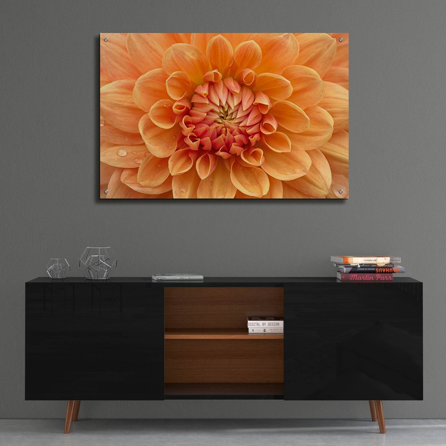 Epic Art 'Orange Dahlia' by Cora Niele, Acrylic Glass Wall Art,36x24