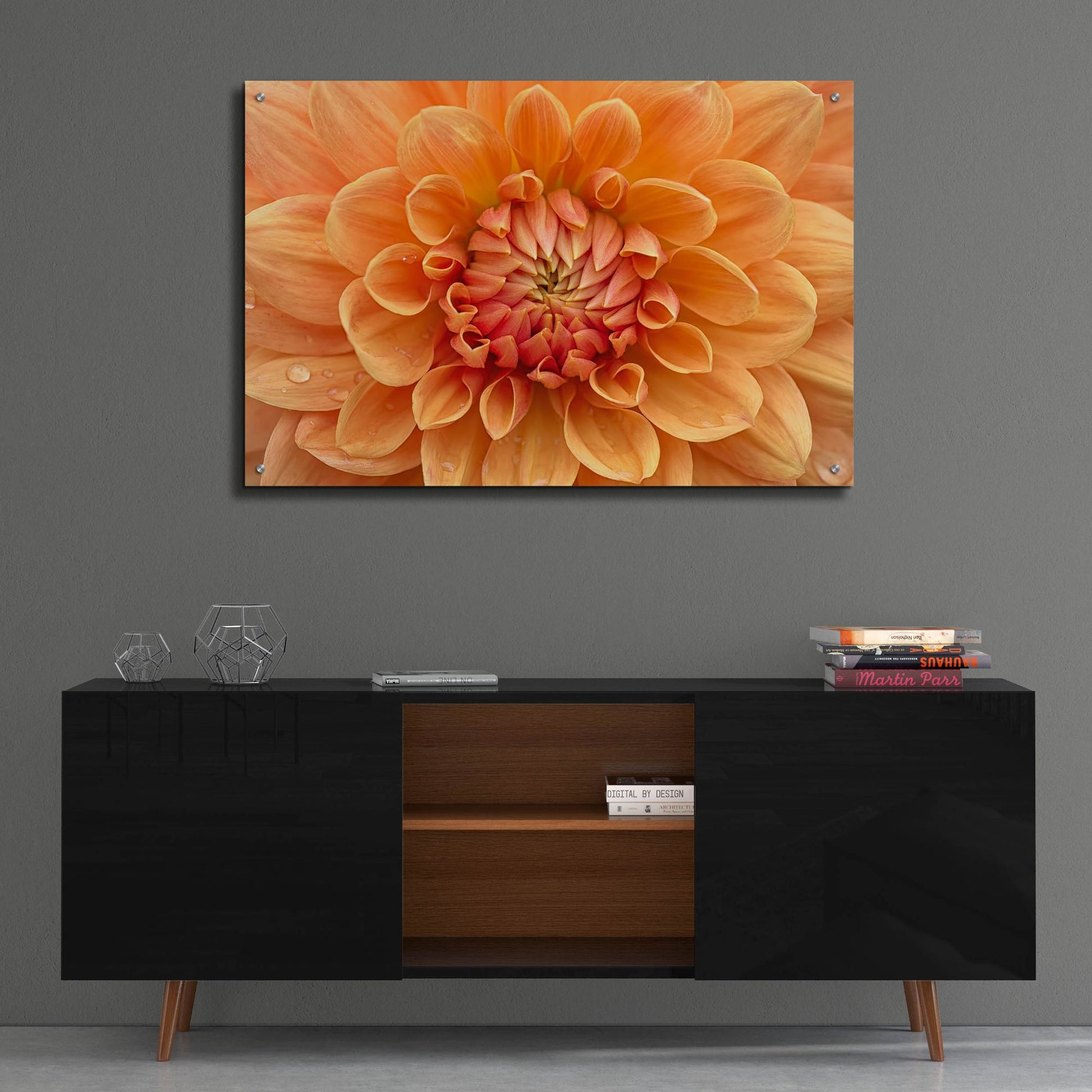 Epic Art 'Orange Dahlia' by Cora Niele, Acrylic Glass Wall Art,36x24