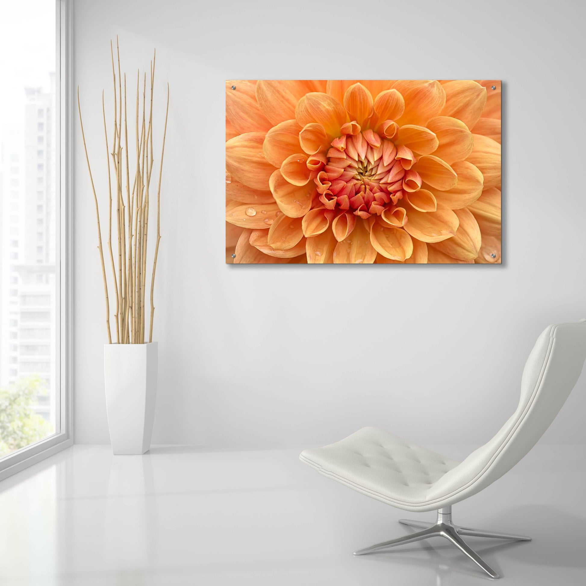 Epic Art 'Orange Dahlia' by Cora Niele, Acrylic Glass Wall Art,36x24