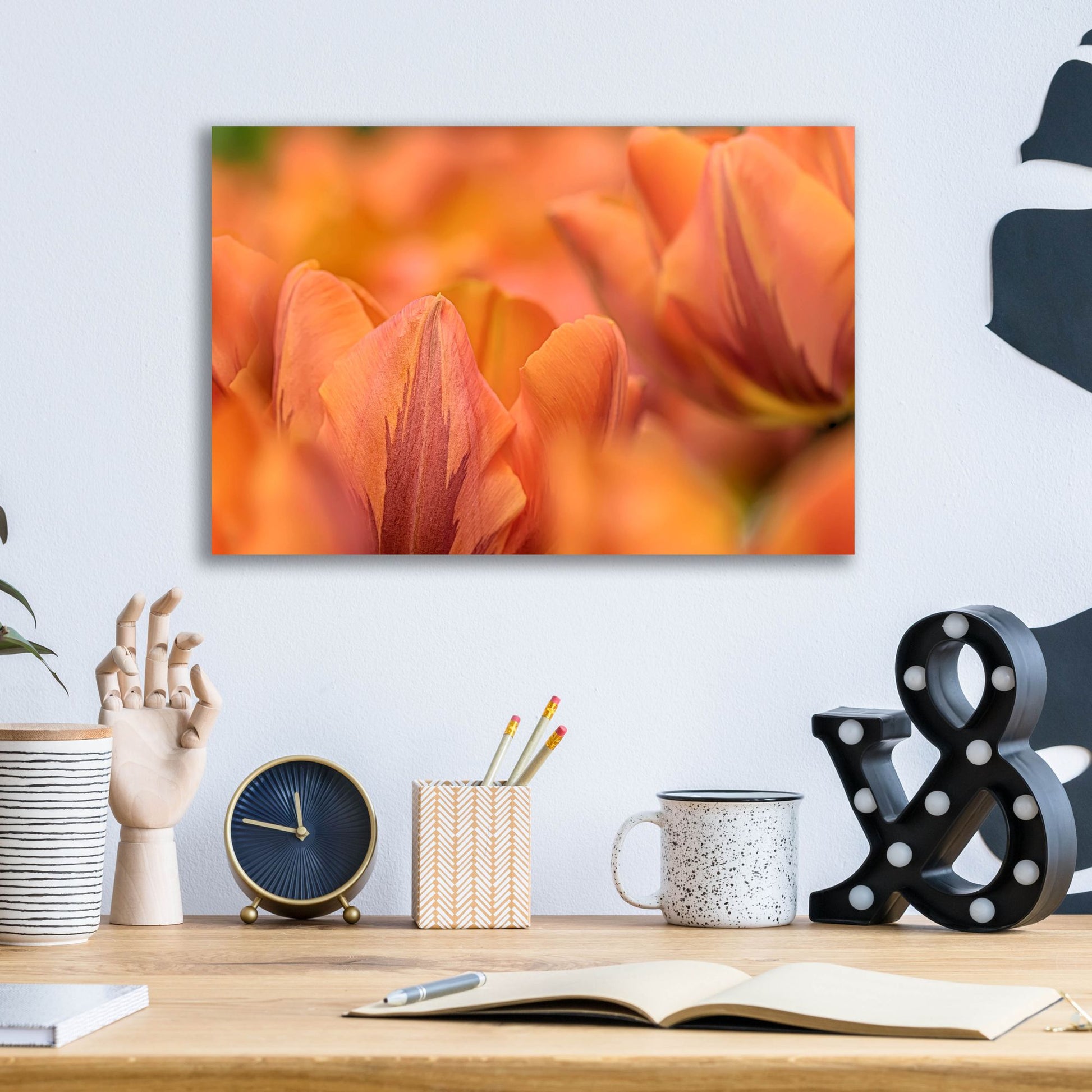 Epic Art 'Orange Tulips' by Cora Niele, Acrylic Glass Wall Art,16x12